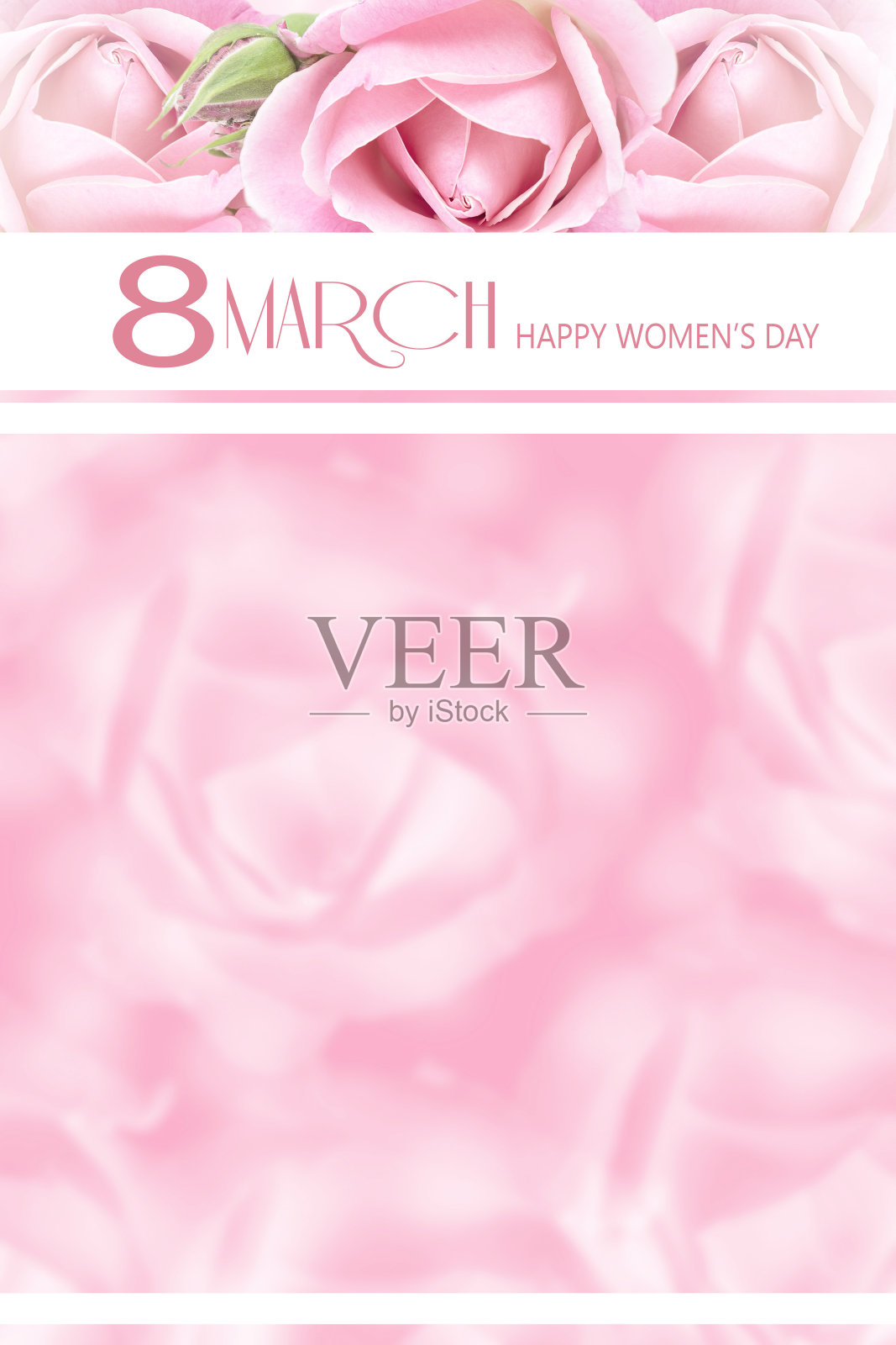 3月8日国际妇女节快乐，象征玫瑰鲜花粉，鲜花贺卡。照片摄影图片