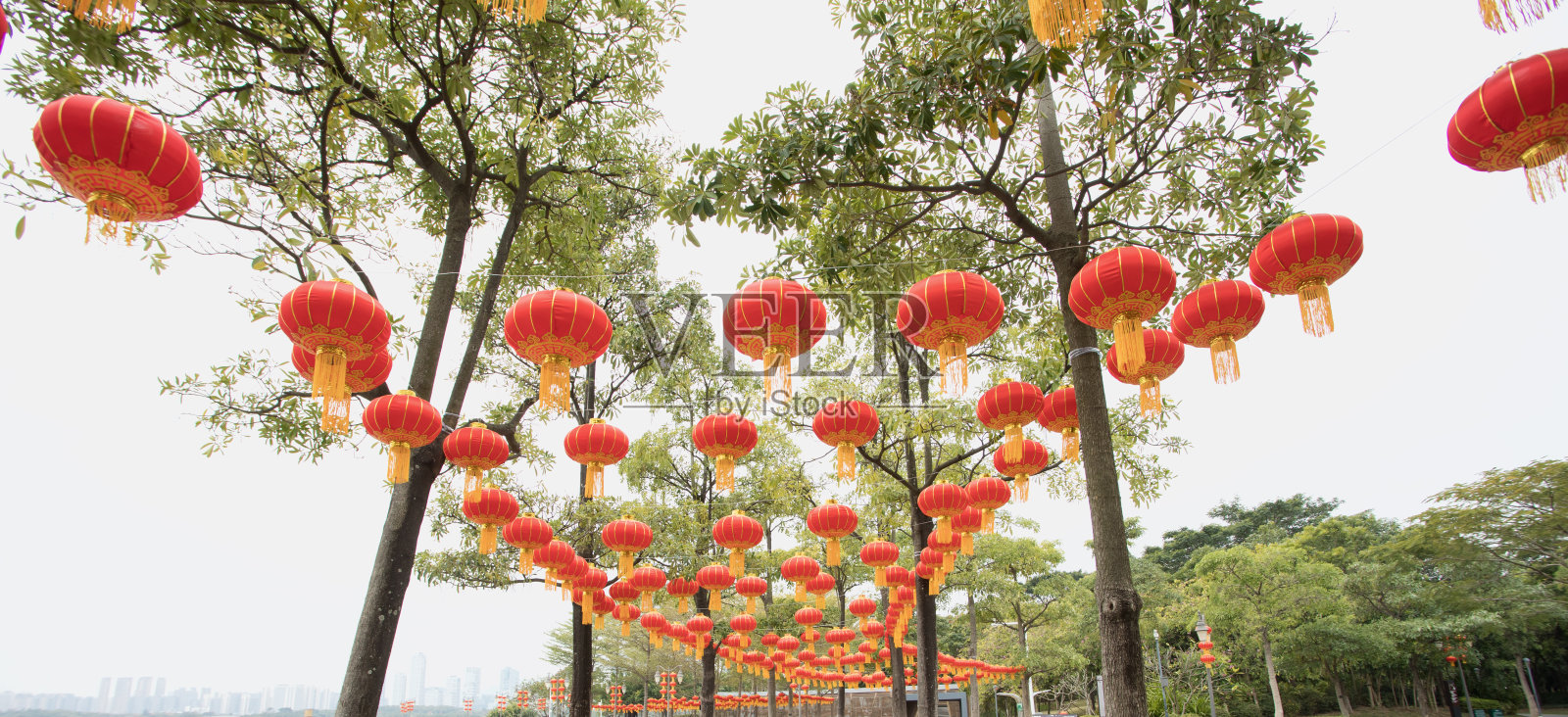 中国新年——公园里的红灯笼照片摄影图片