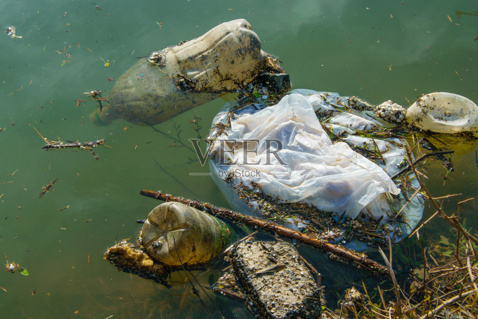 水中的塑料污染。生态工业的概念照片摄影图片
