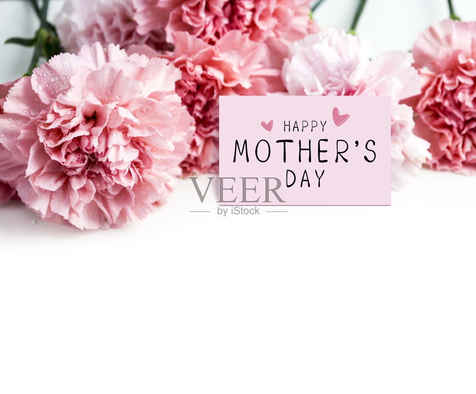 在纸上写上母亲节快乐的信息，白色的背景上放上粉红色的康乃馨花照片摄影图片