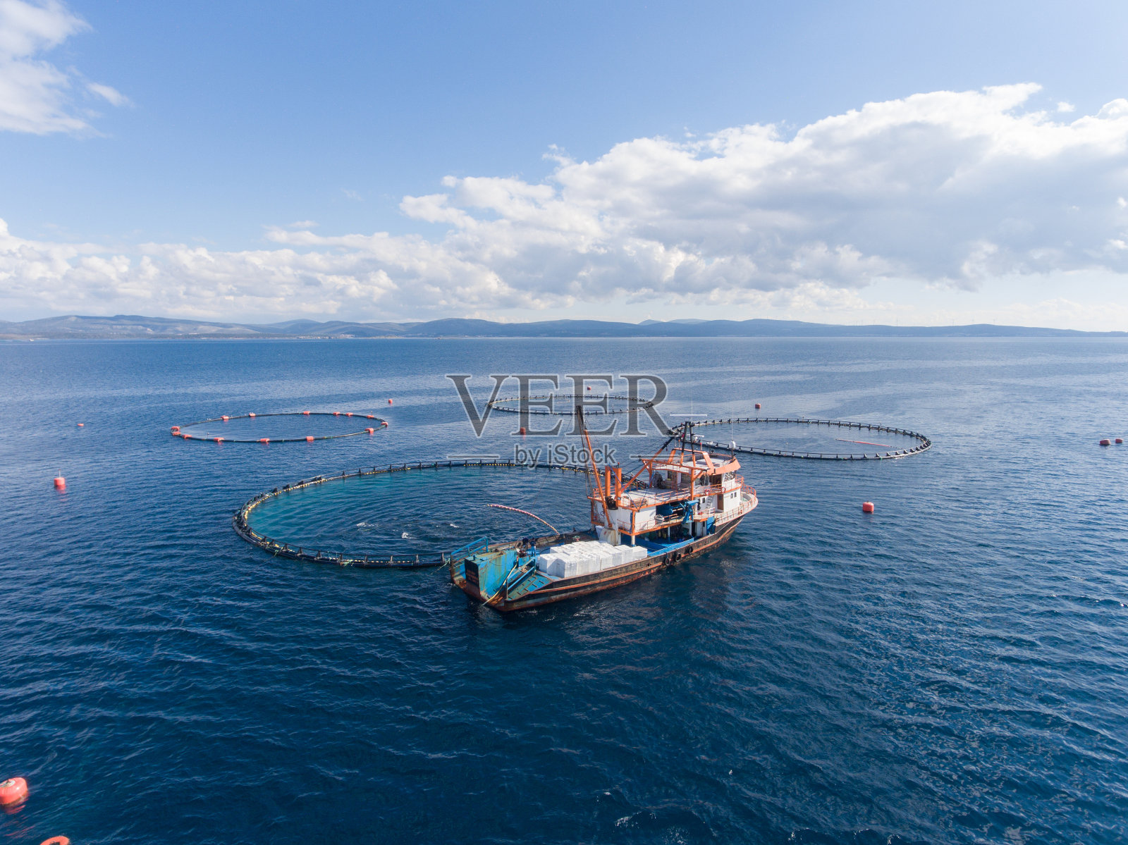 开放海鱼养殖场照片摄影图片