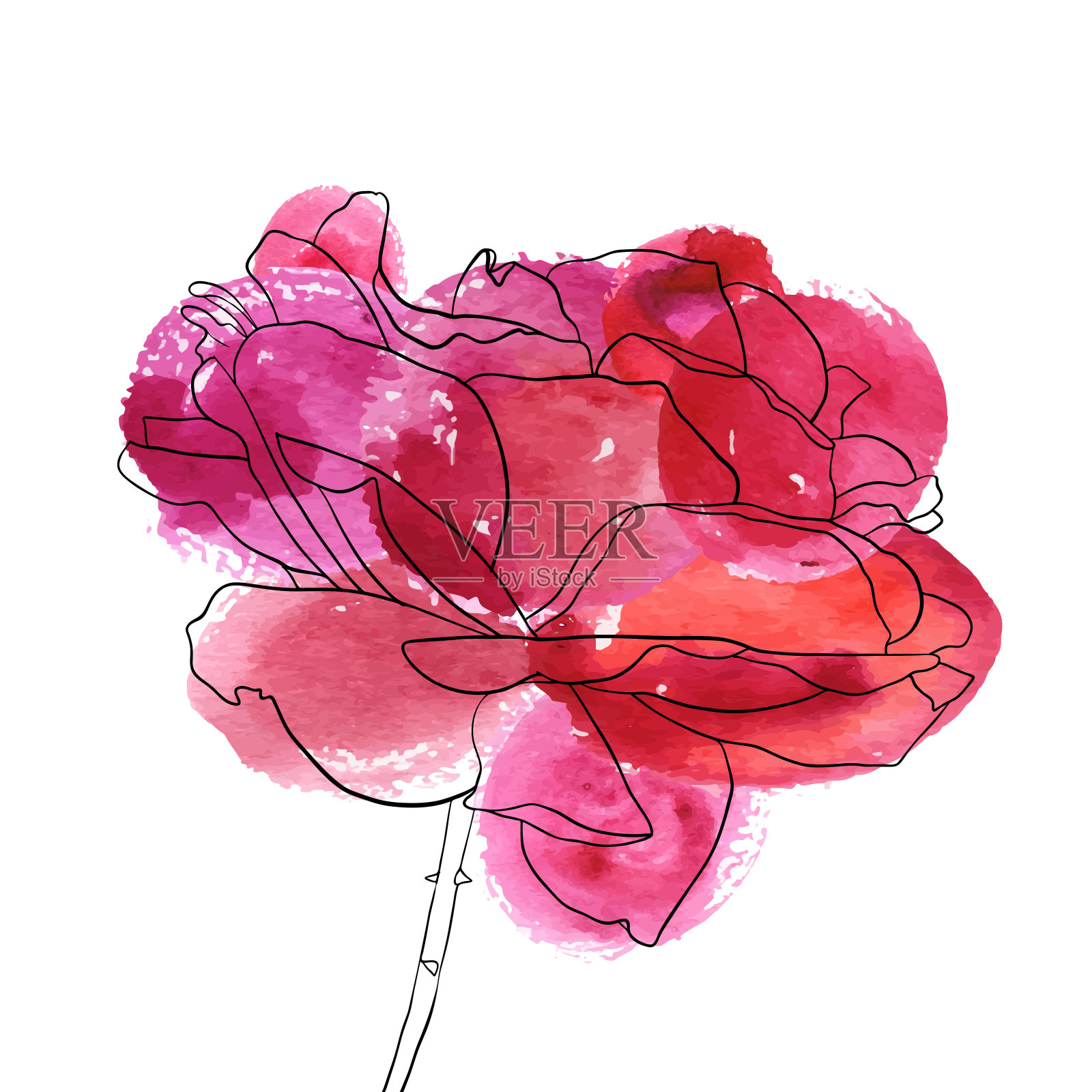 矢量画玫瑰花设计元素图片