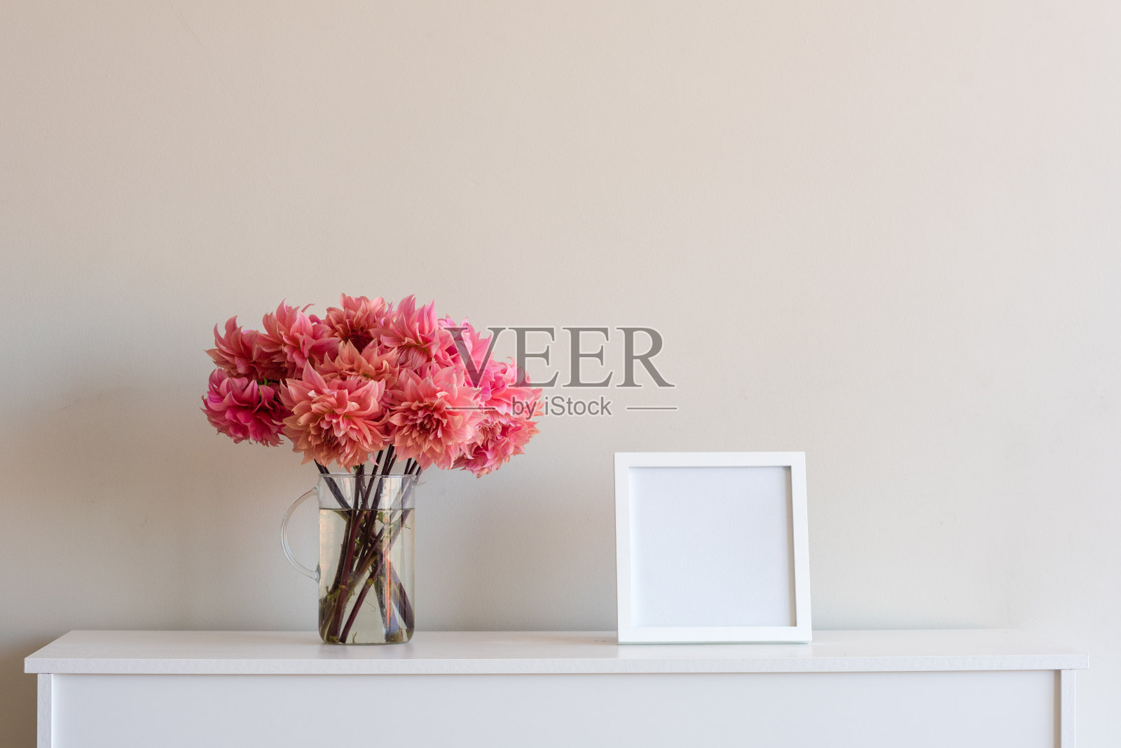 珊瑚粉色的大丽花与空白的方形框架照片摄影图片
