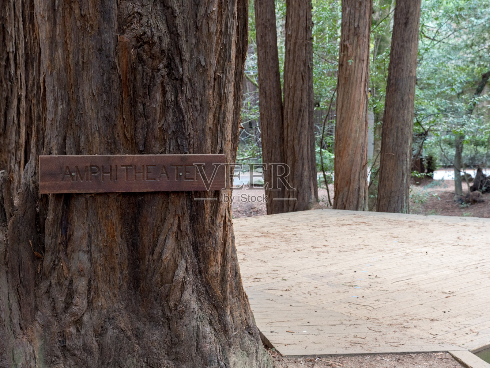 木制的圆形剧场标志在森林与舞台的右边照片摄影图片