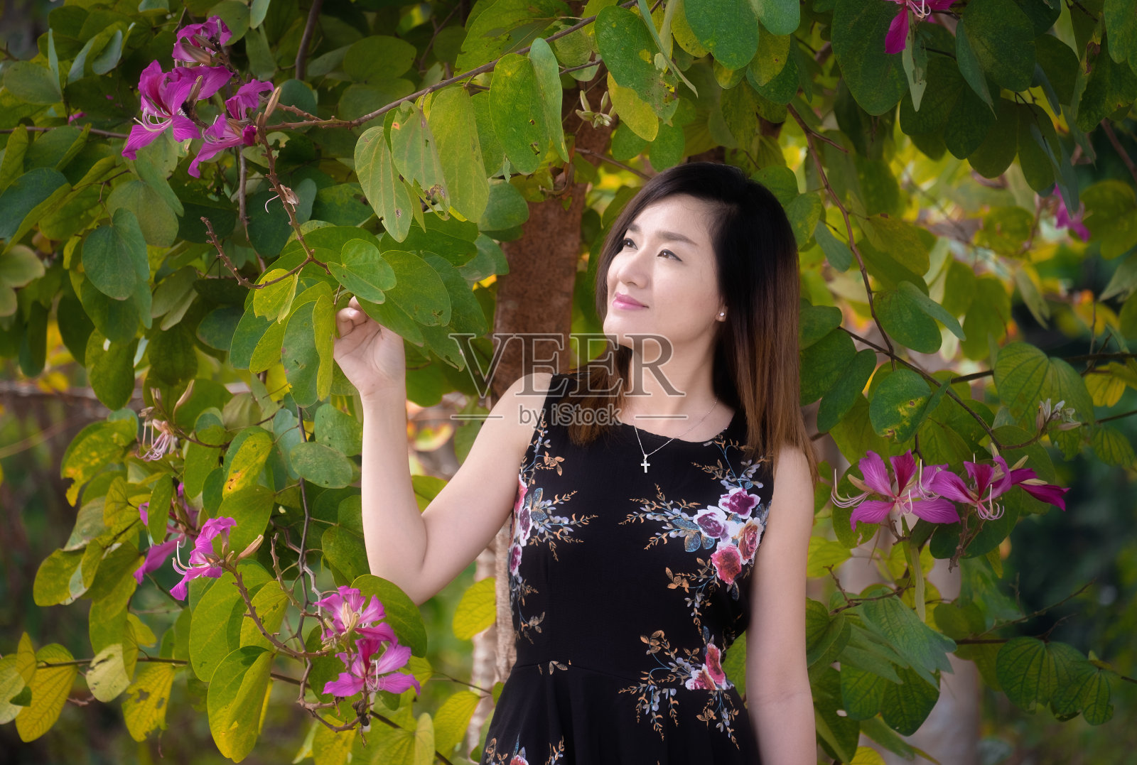 年轻的亚洲妇女放松和微笑对粉红色的花和绿色的自然树叶背景在夏季照片摄影图片