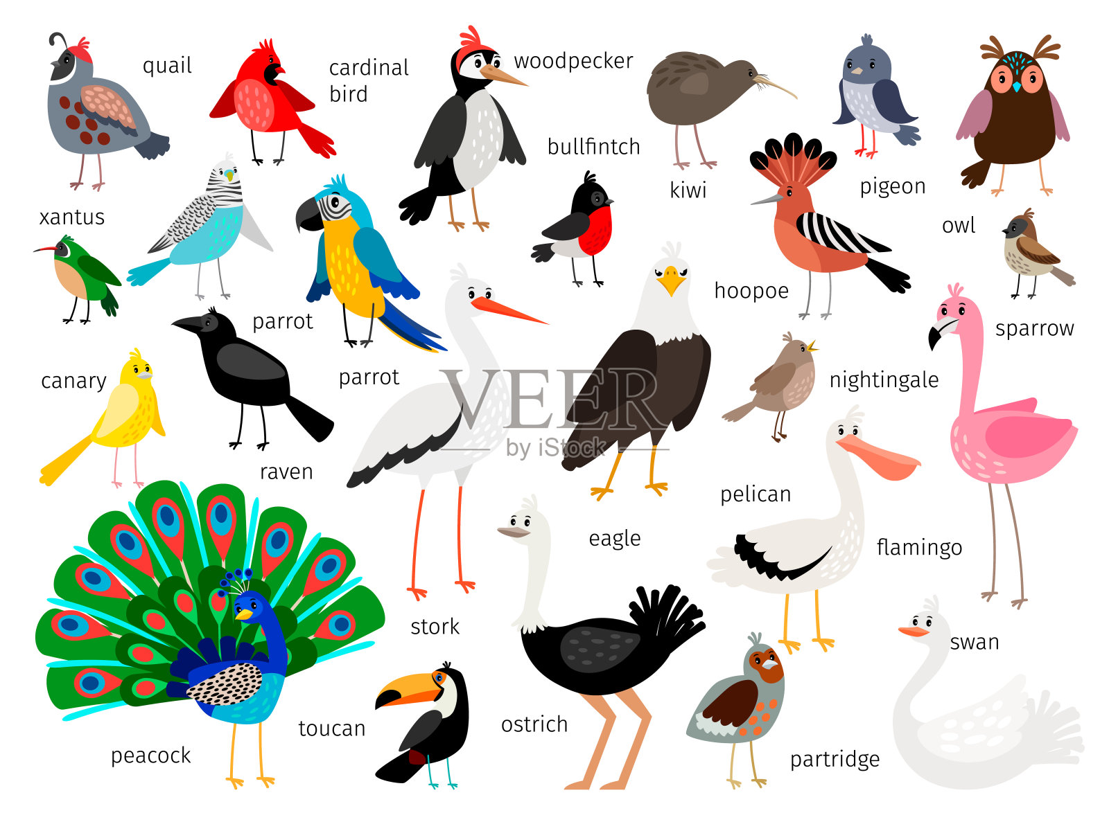 欧洲和亚洲的鸟类设计元素图片