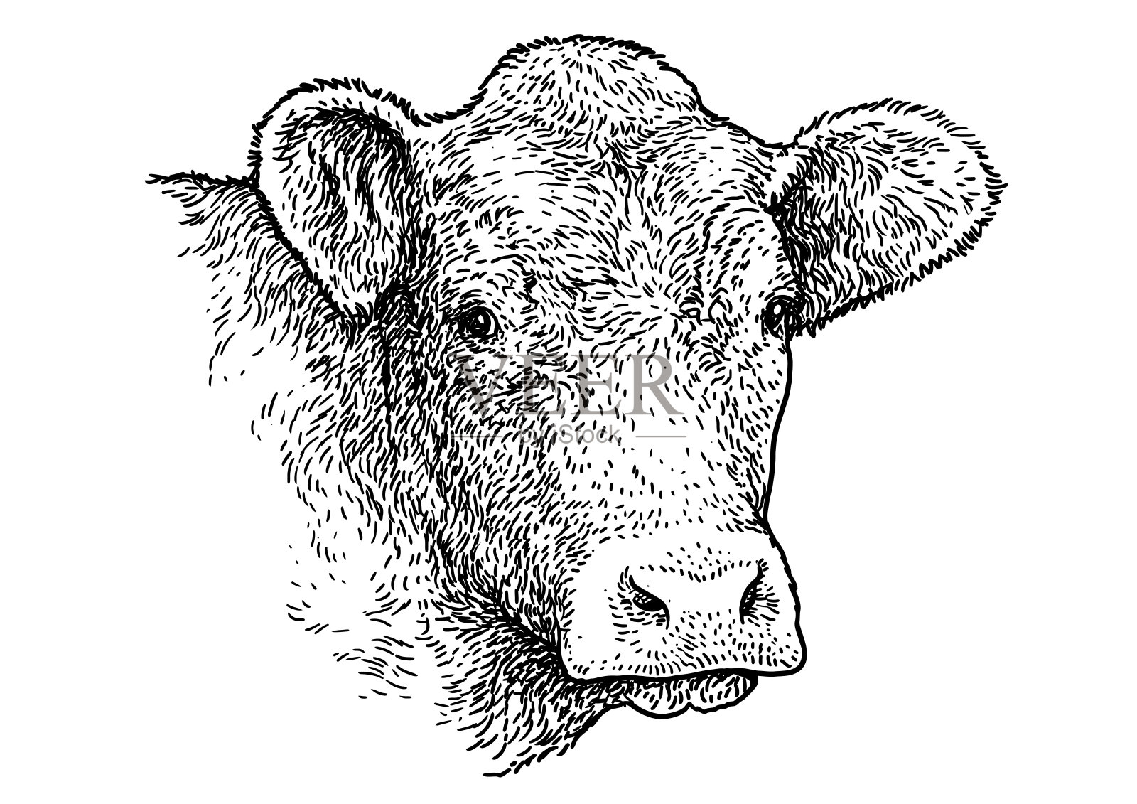 牛头人像插画，绘画，雕刻，水墨，线条艺术，矢量设计元素图片