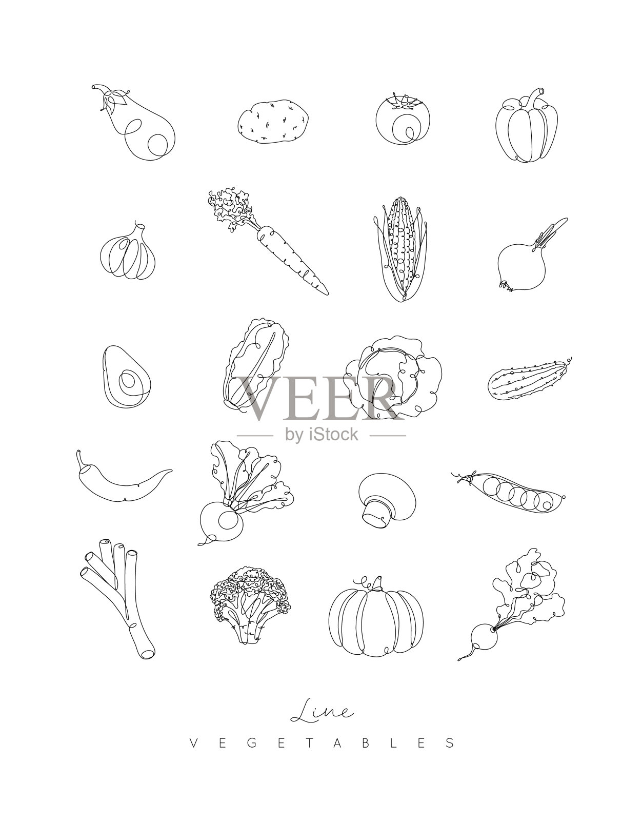 钢笔线蔬菜图标插画图片素材