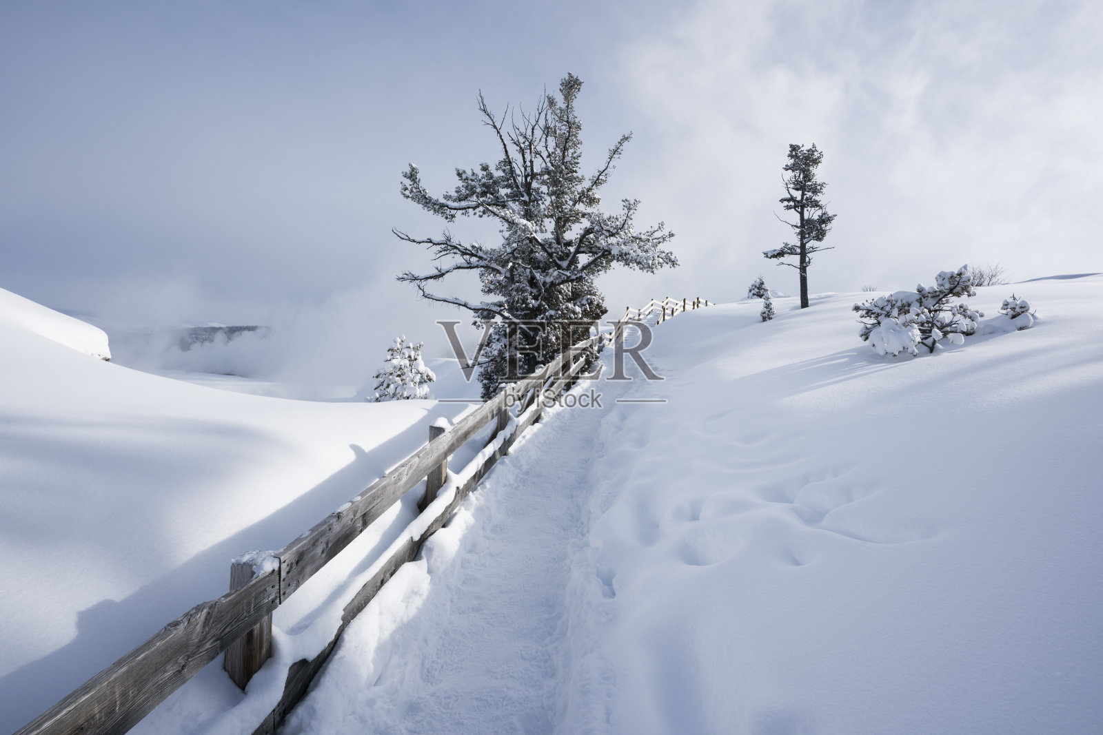 冬天，猛犸温泉的木板路被雪覆盖照片摄影图片