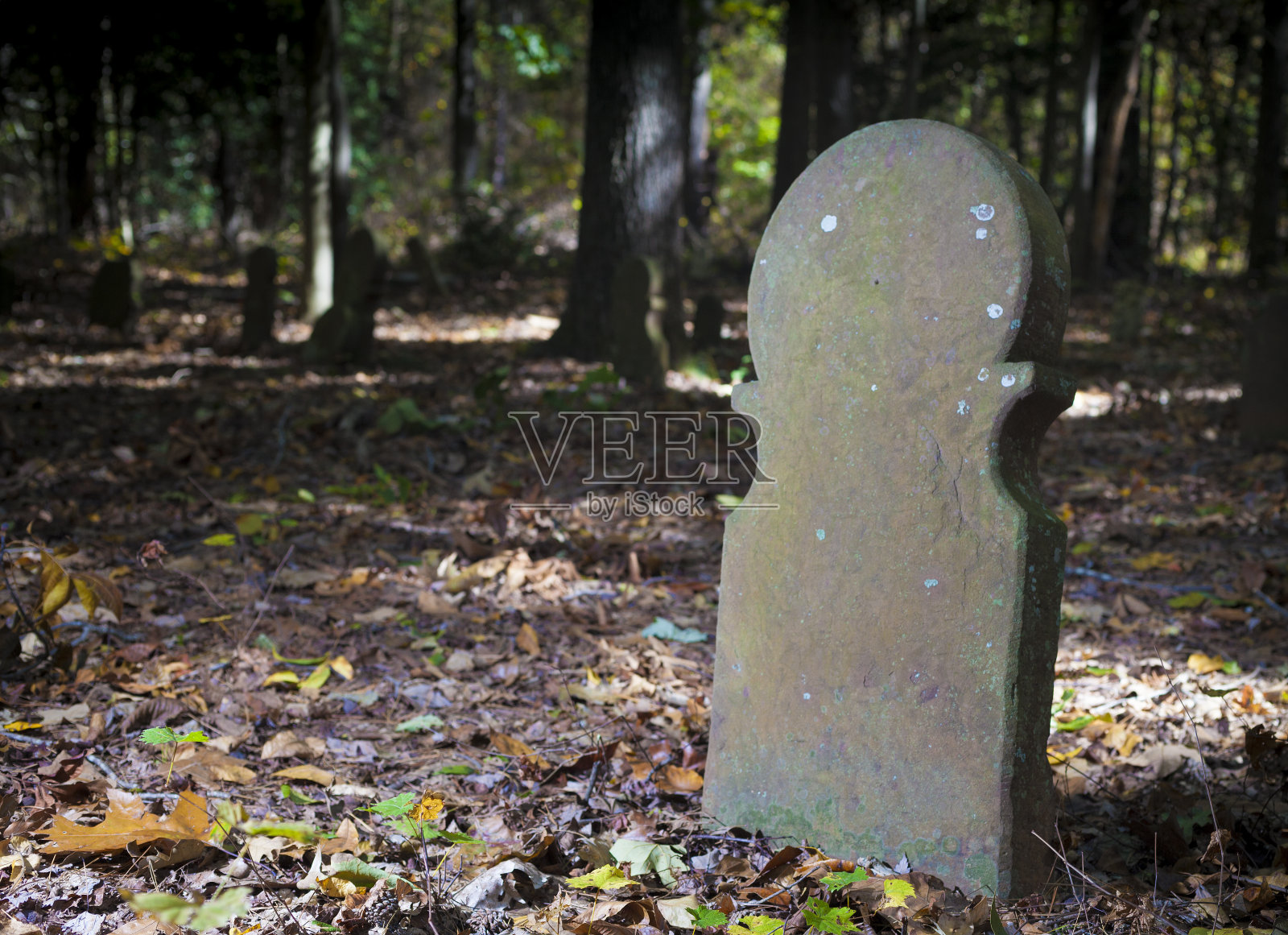 北卡罗莱纳公墓的墓碑照片摄影图片