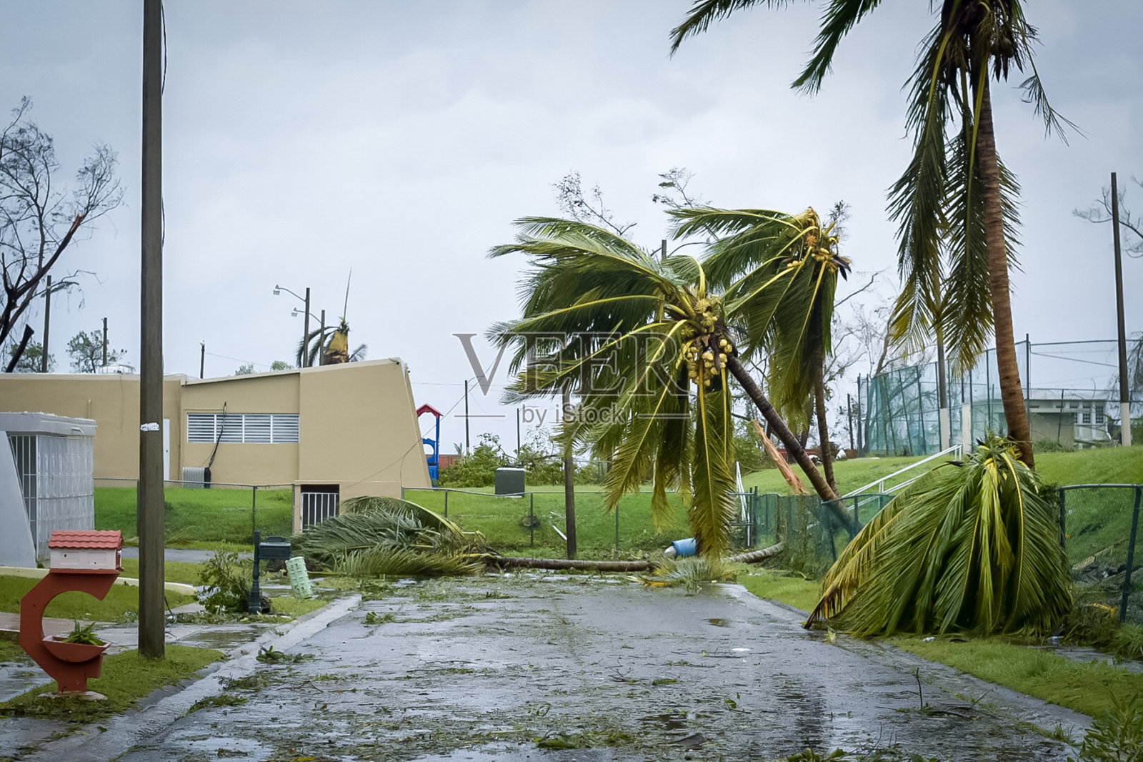 飓风玛丽亚的后果照片摄影图片