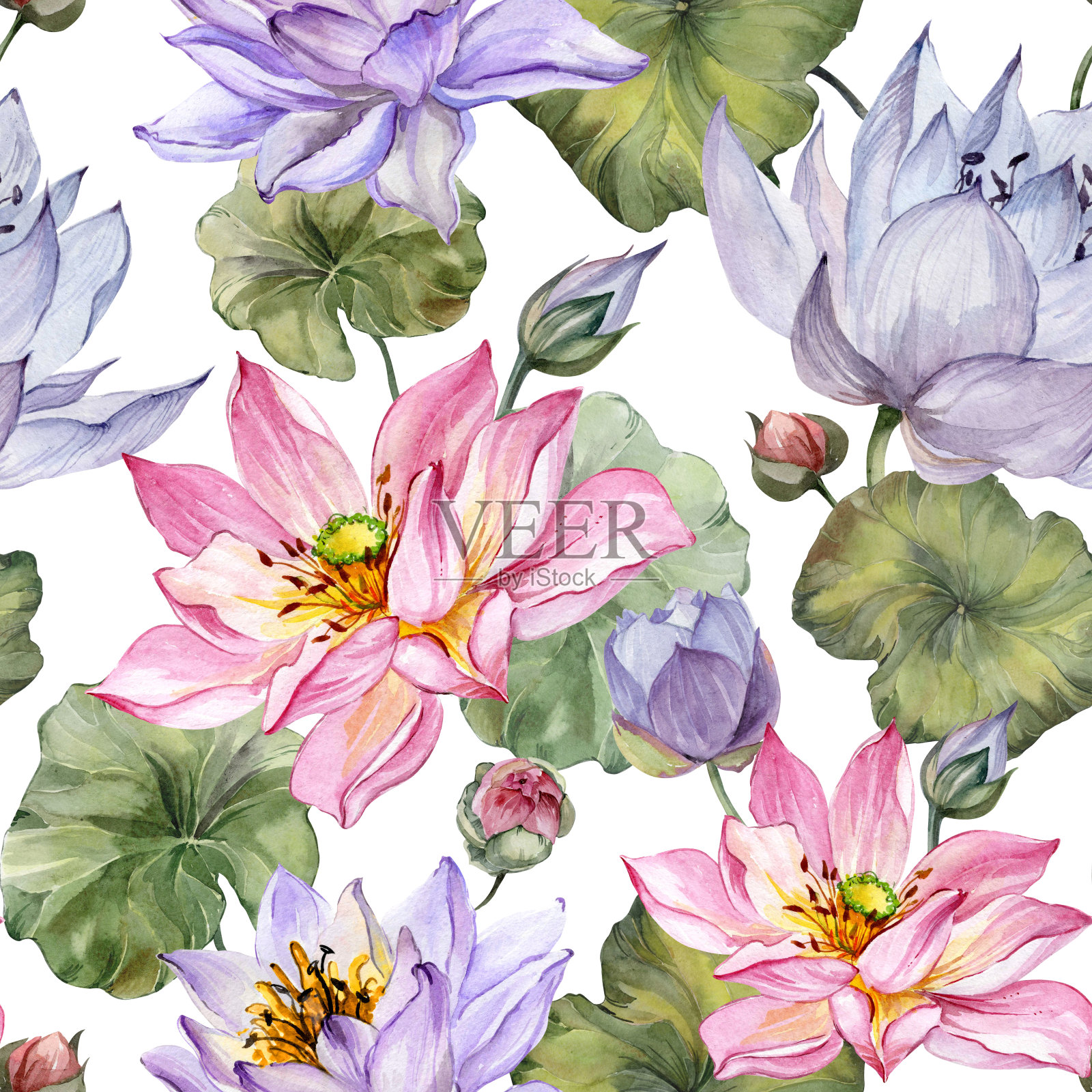 美丽的花无缝图案。粉红色和紫色的大荷花，叶子在白色的背景上。手绘插图。水彩画。设计元素图片