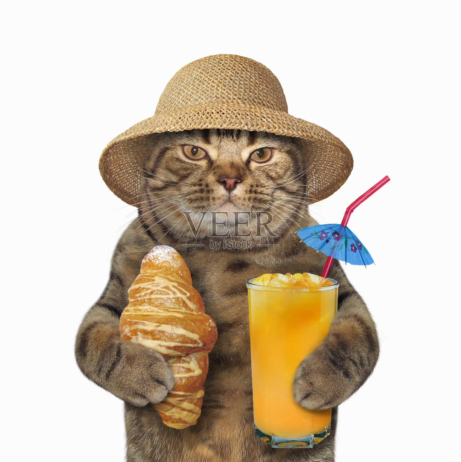 猫和羊角面包和果汁照片摄影图片