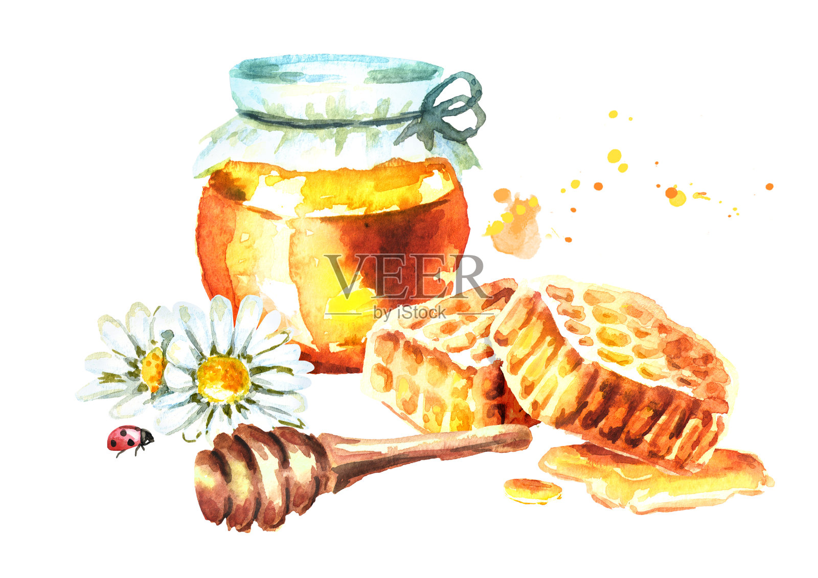 新鲜蜂蜜配蜂蜜，甘菊和蜂蜜勺。水彩手绘插图插画图片素材