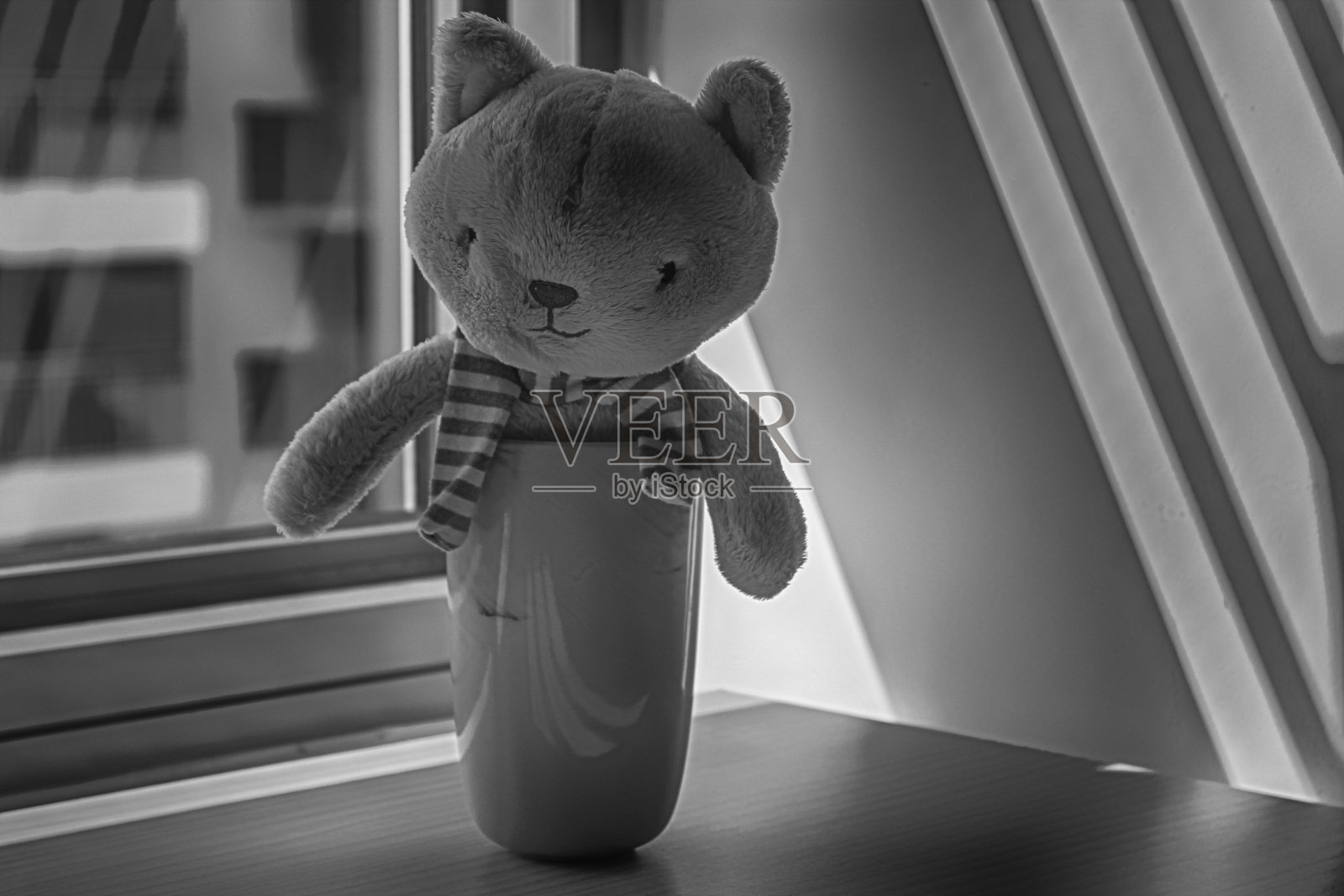 单色小猫玩具与杯子坐在窗前的阴影照片摄影图片