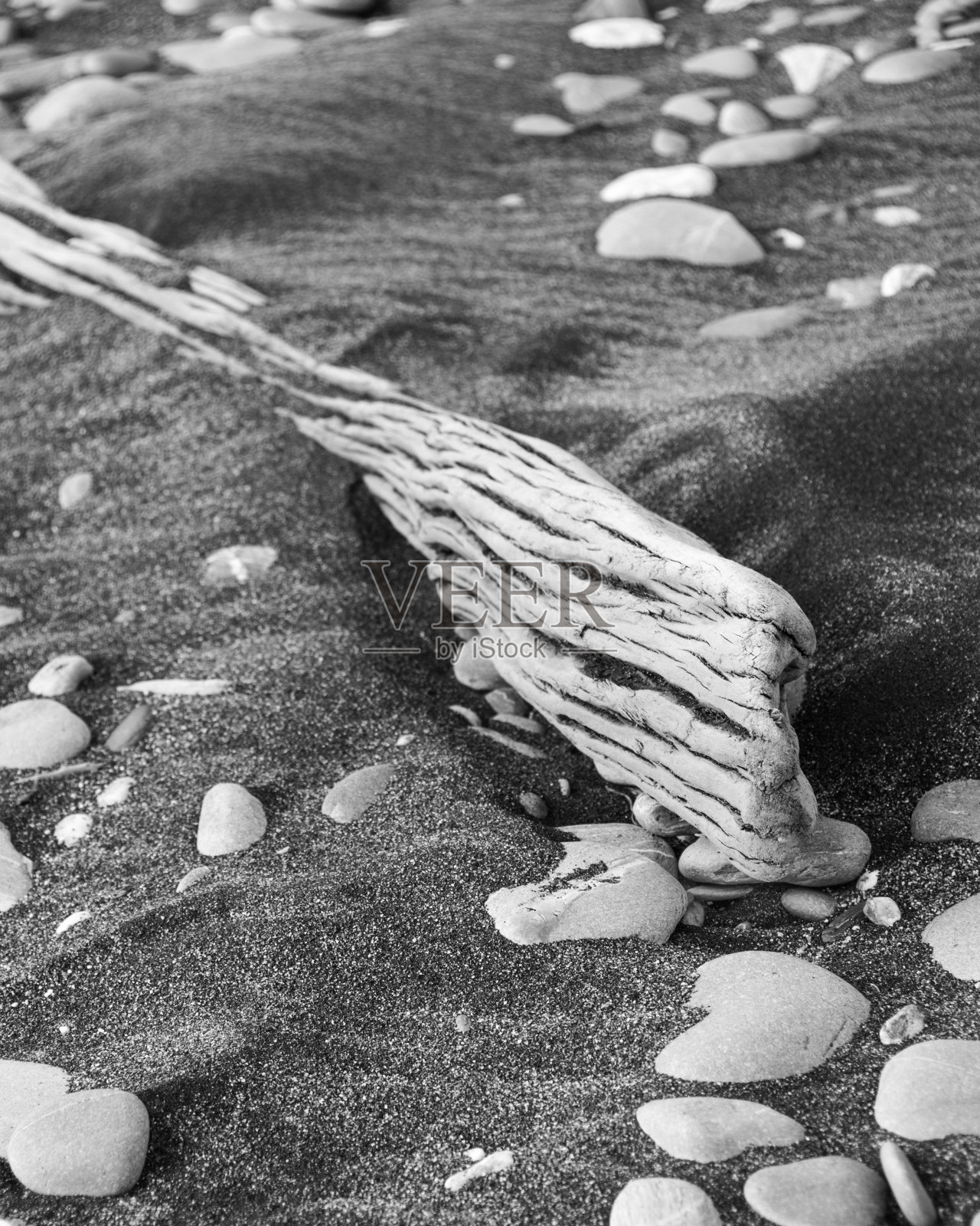浮木和岩石沿海滩5照片摄影图片