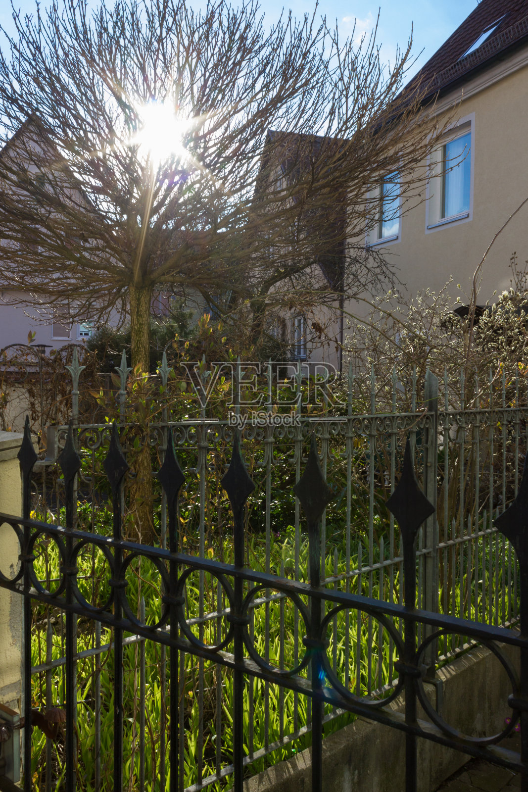 复活节的春天，花园的篱笆照片摄影图片