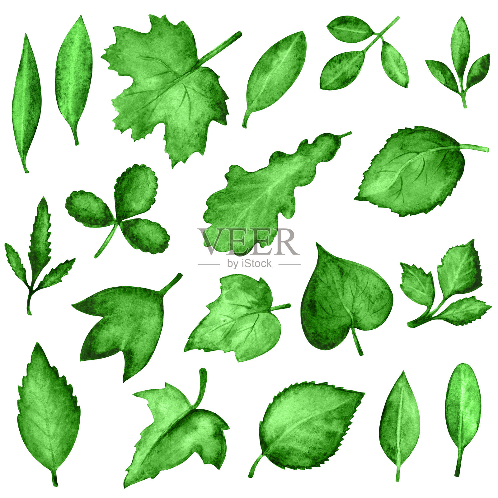 水彩绿叶插画图片素材