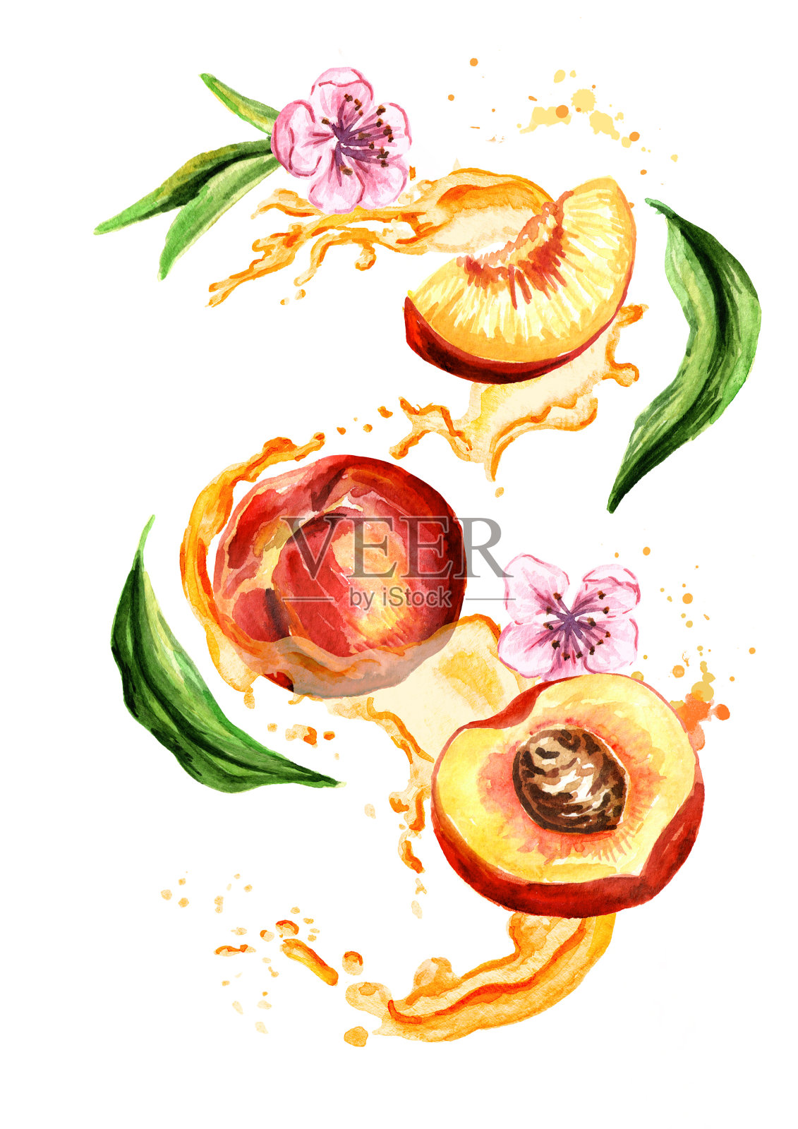 果汁与桃子水果，树叶和鲜花。水彩手绘插图，孤立的白色背景插画图片素材
