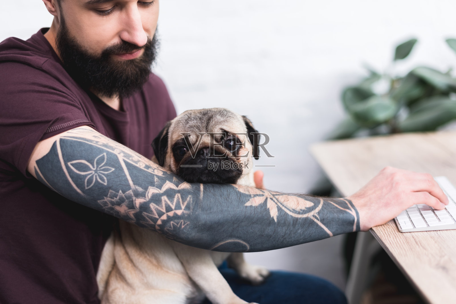 裁剪图像的纹身英俊男子与哈巴狗在家照片摄影图片