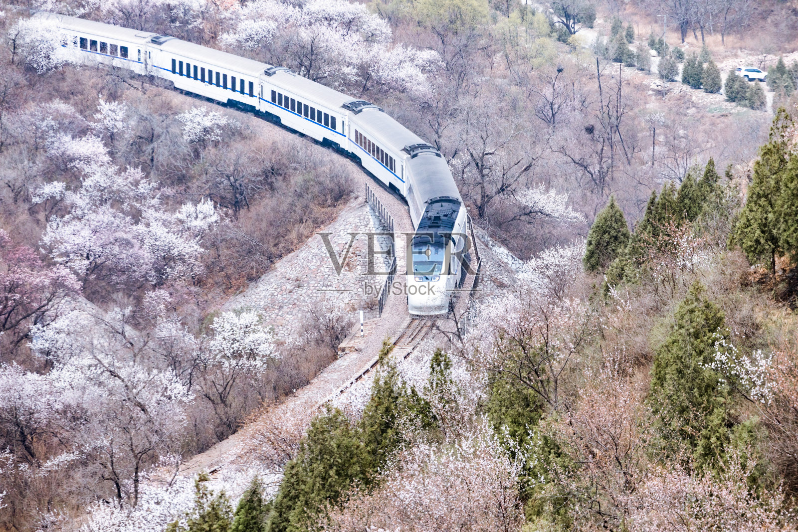 中国北京的火车和樱花树照片摄影图片