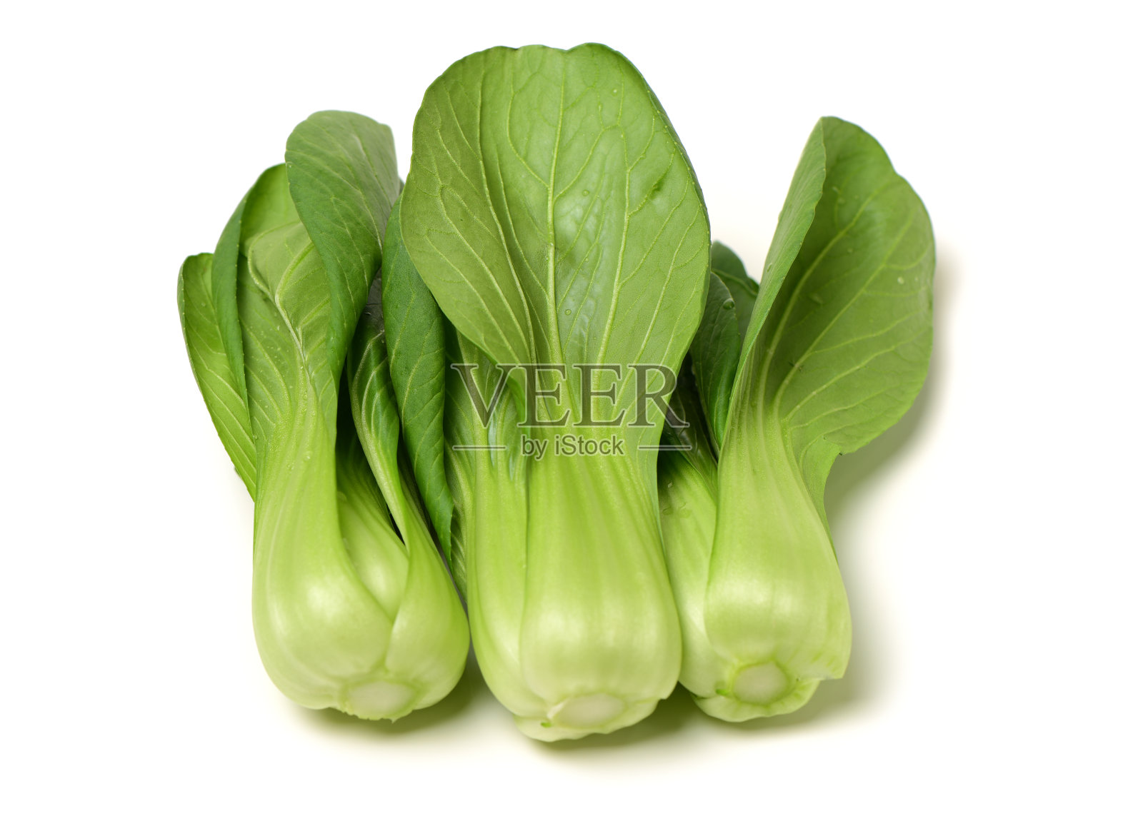 在白色背景上分离的新鲜绿色小白菜(白菜)照片摄影图片