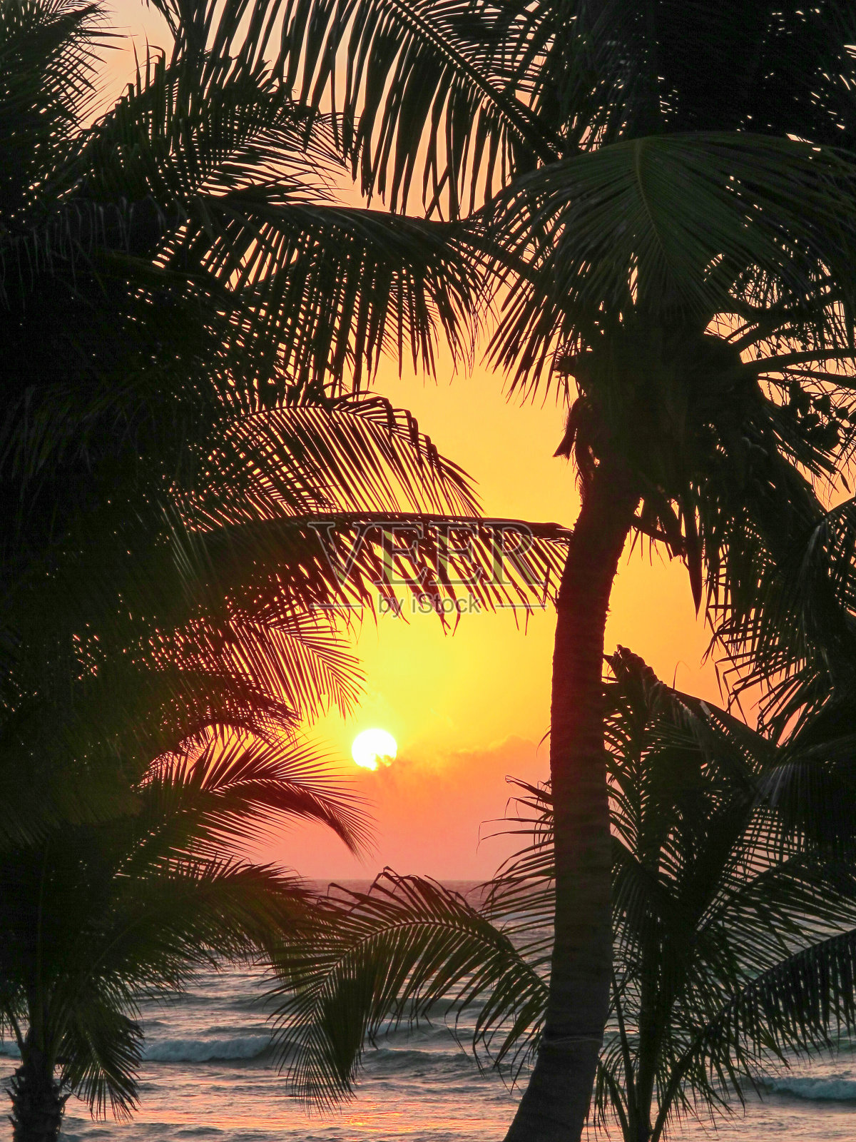 金色的日出在加勒比海滩，玛雅里维埃拉，墨西哥照片摄影图片