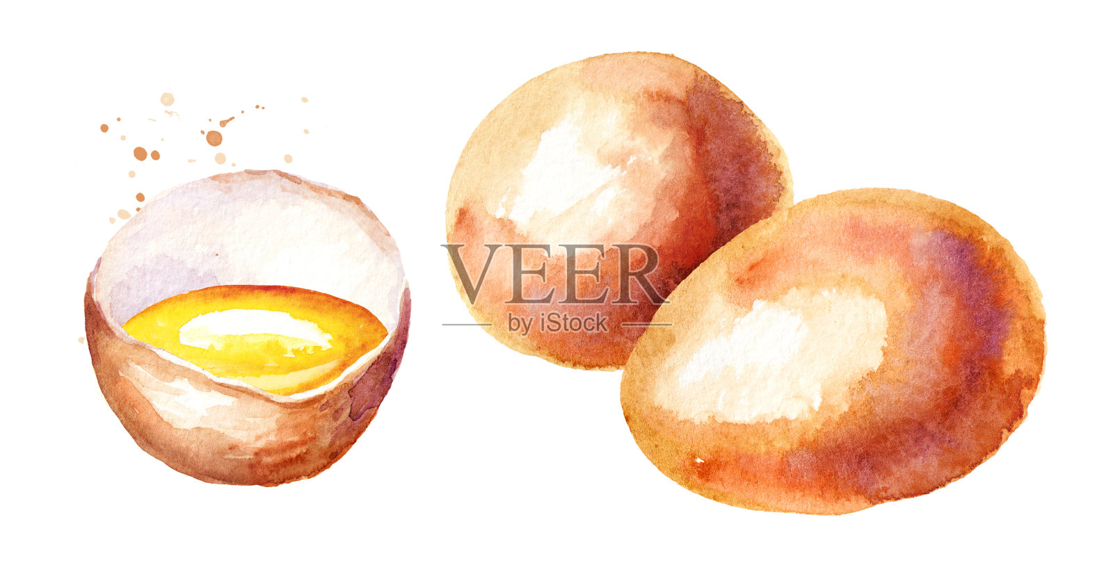 鸡蛋成分。水彩手绘插图孤立的白色背景插画图片素材