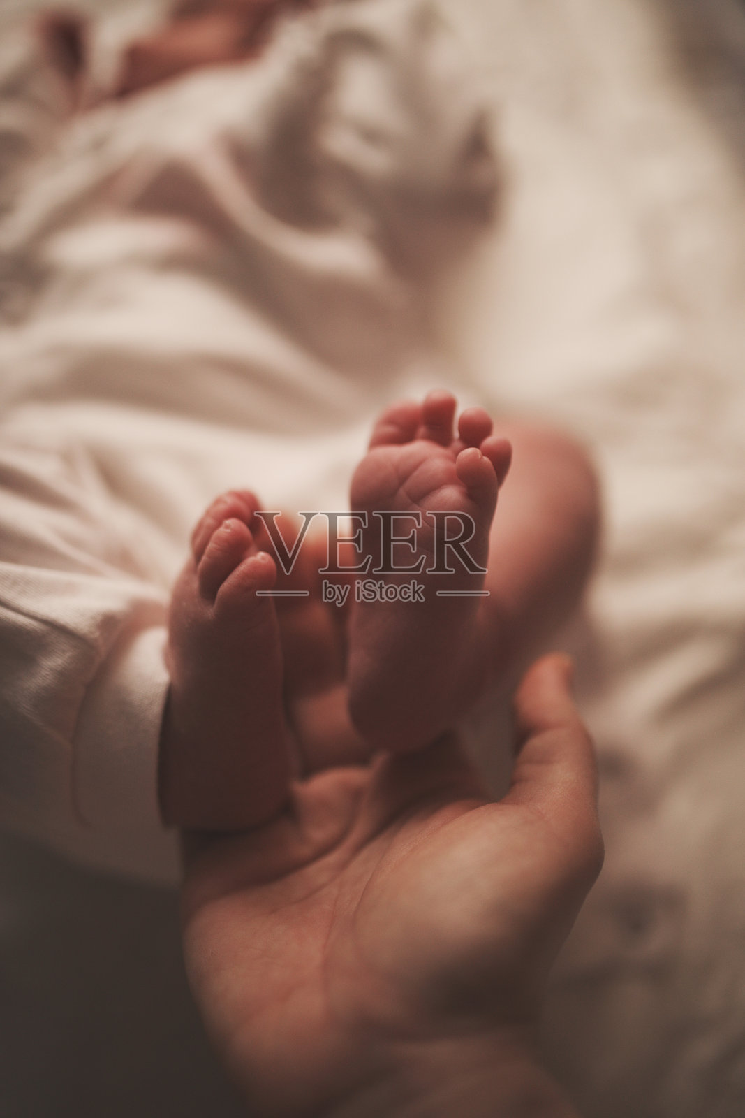 婴儿的脚在妈妈的手里照片摄影图片