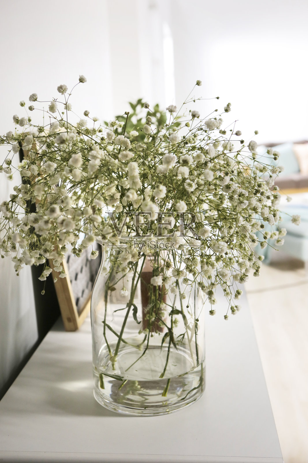 白色客厅里的吉普菲拉花瓶照片摄影图片