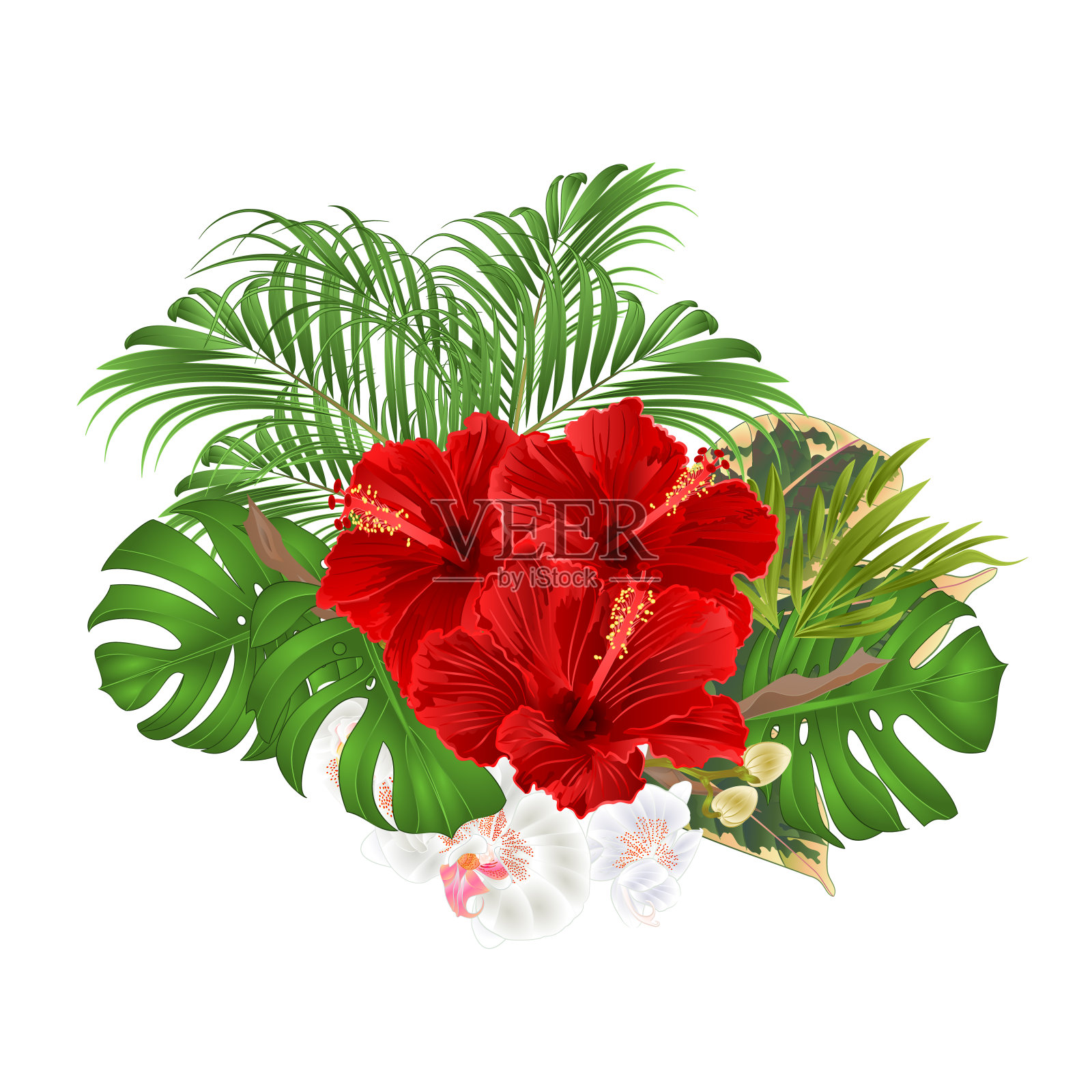 花束配有热带花卉插花，配有美丽的红色木槿和白色兰花棕，黄花属复古矢量插图可编辑插画图片素材