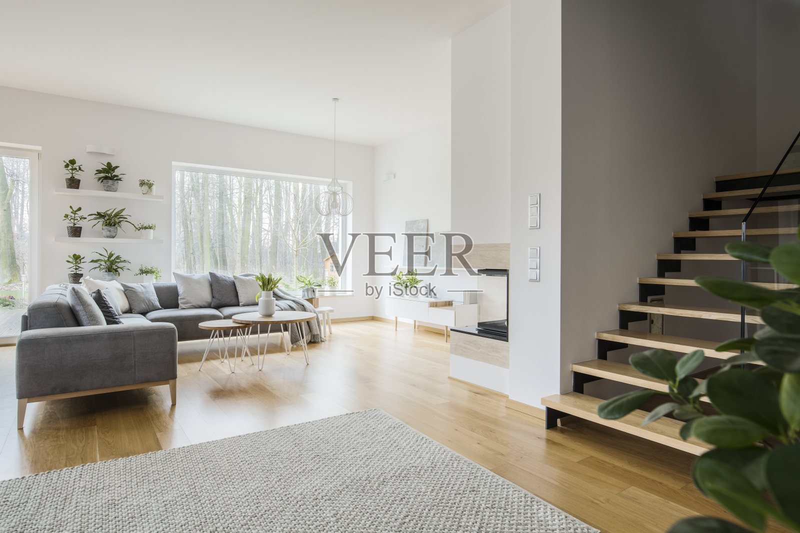 白色的客厅内部有灰色的角落沙发，绿色的新鲜植物，地板上的地毯和木制楼梯照片摄影图片