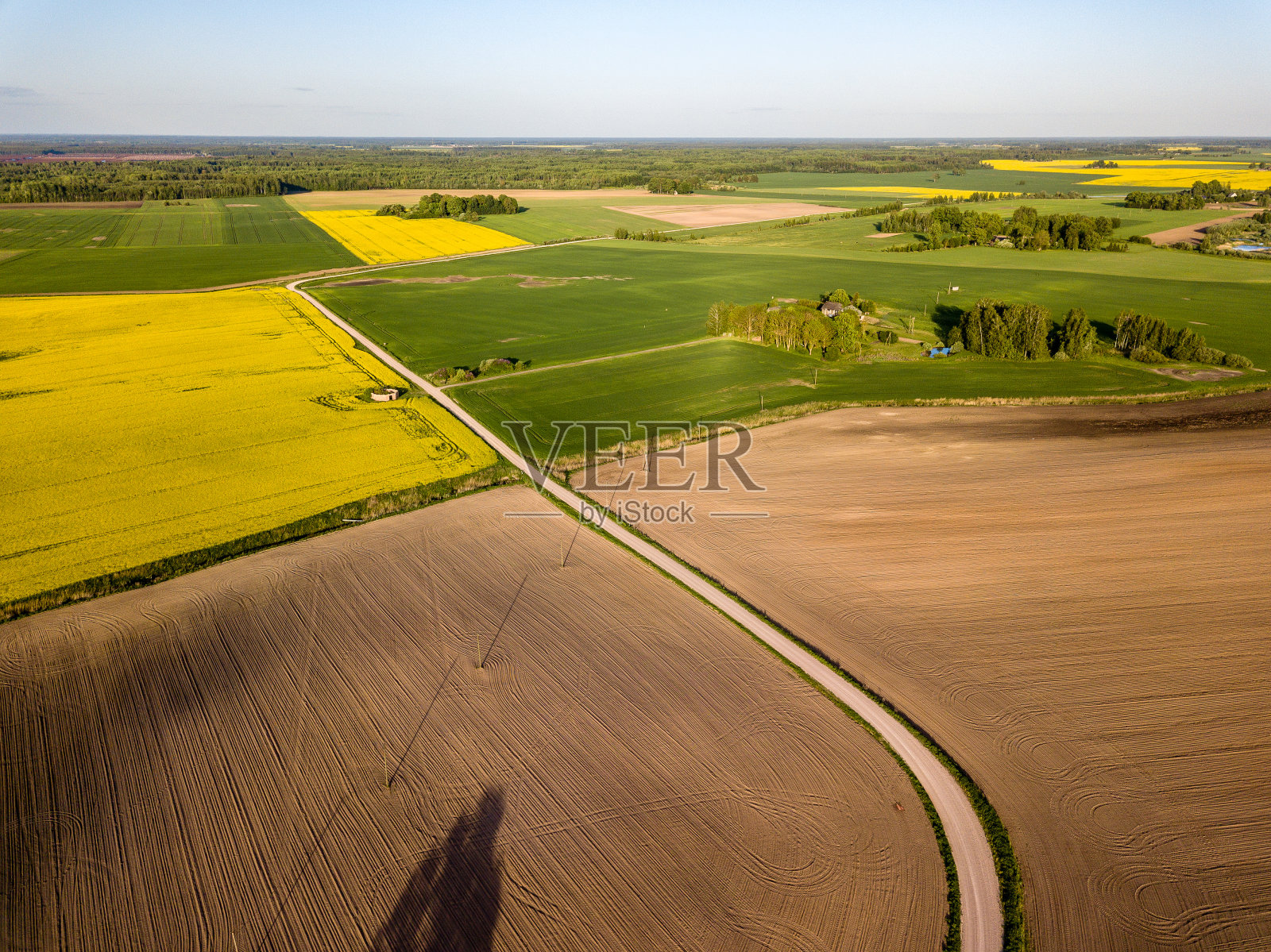 无人机图像。鸟瞰图的农村地区与种植油菜种子的田地照片摄影图片