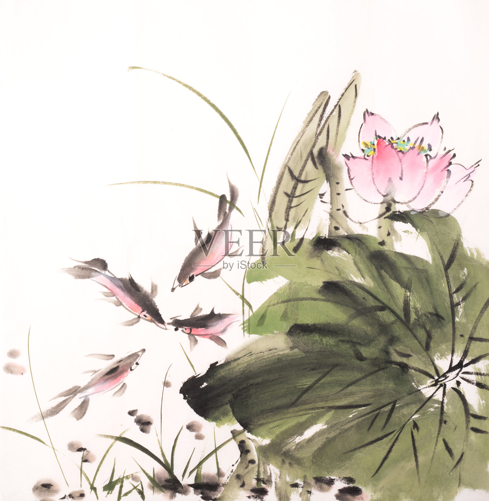 荷花手绘水墨，中国水彩画插画图片素材