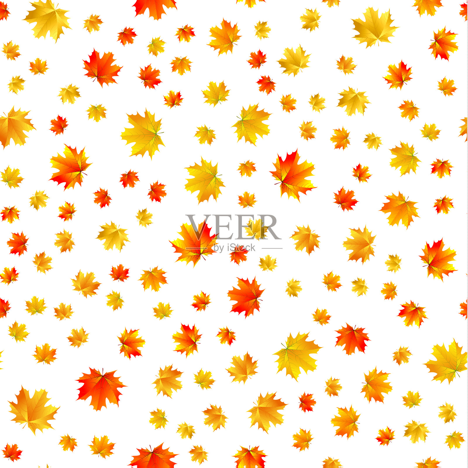 无缝模式的枫叶在白色的背景插画图片素材