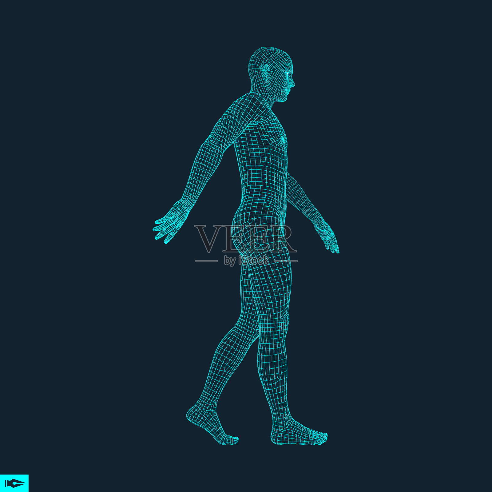 行走的人。三维人体模型。几何设计。人体电线模型。矢量插图。插画图片素材