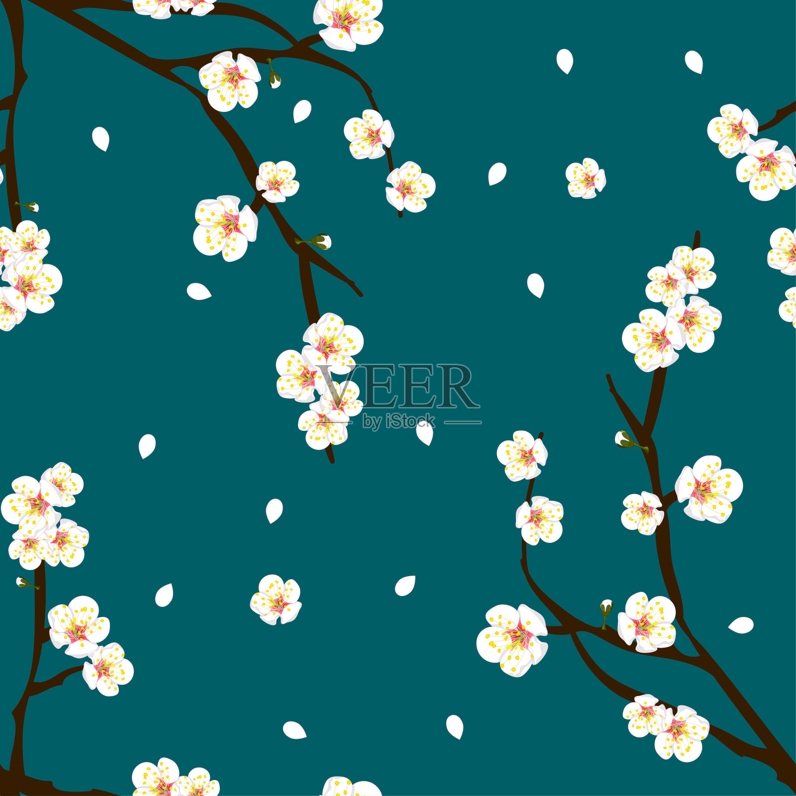 靛蓝色背景上的梅花花插画图片素材