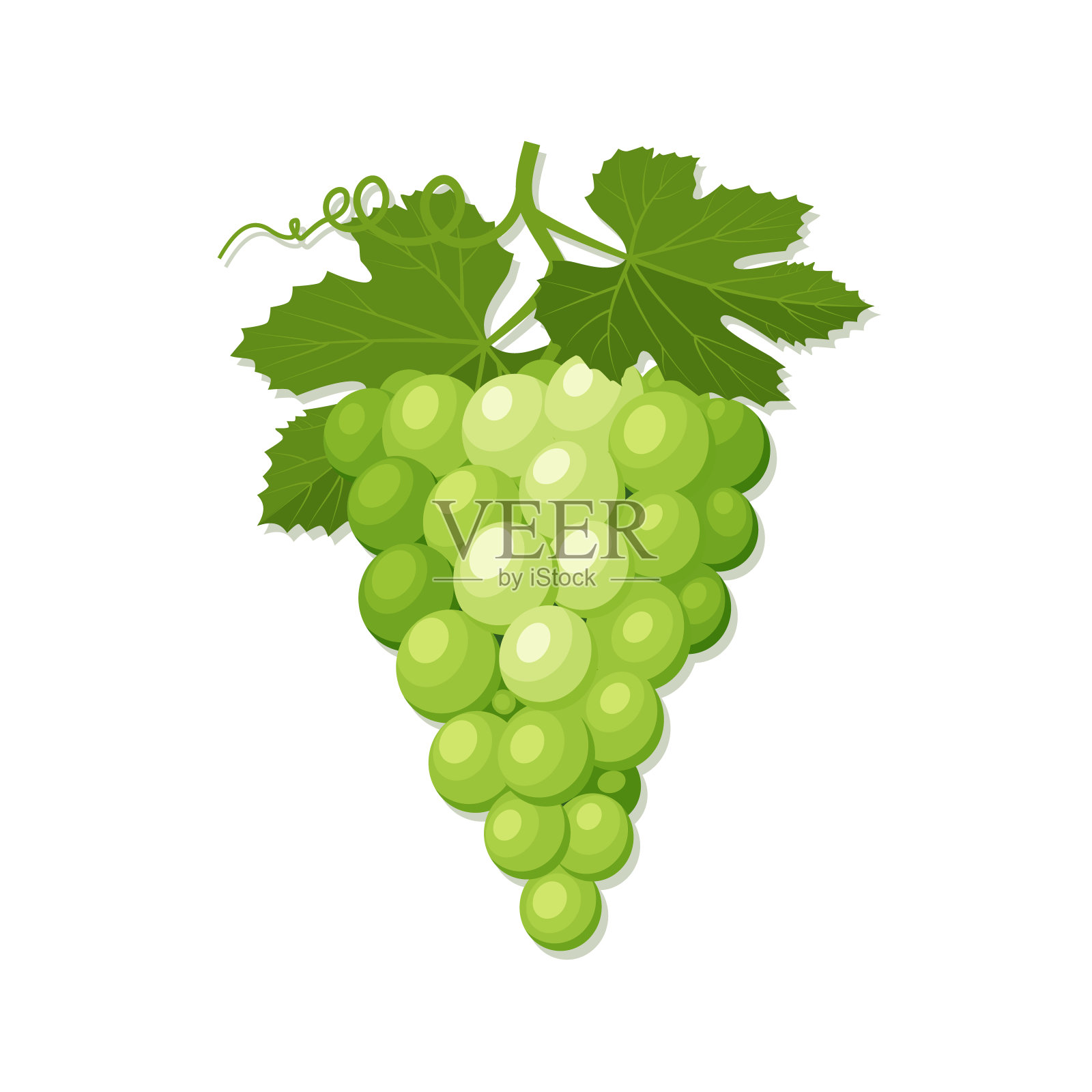 一串绿色的葡萄和叶子的图标设计元素图片