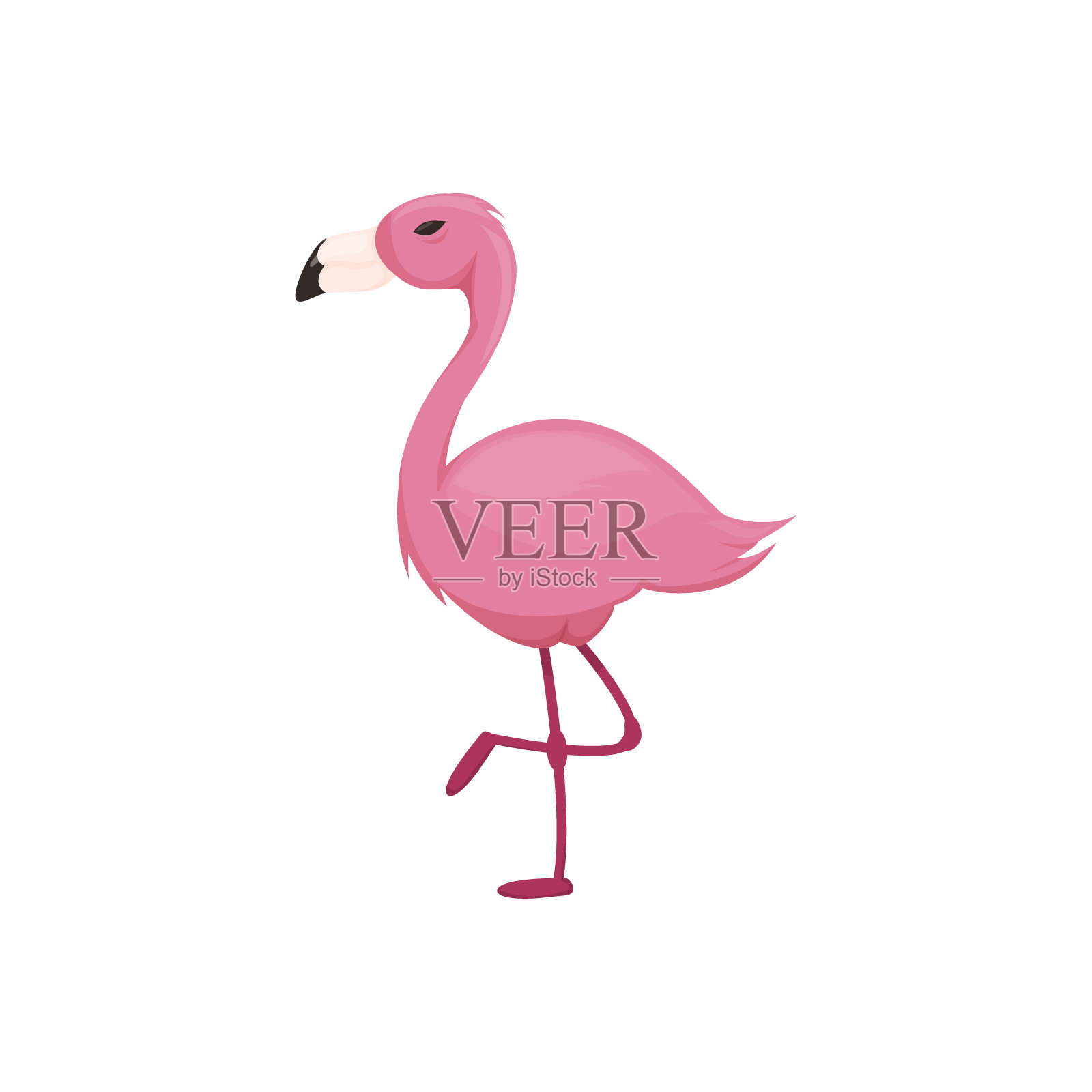 粉红色火烈鸟矢量插图孤立在白色的背景。设计元素图片