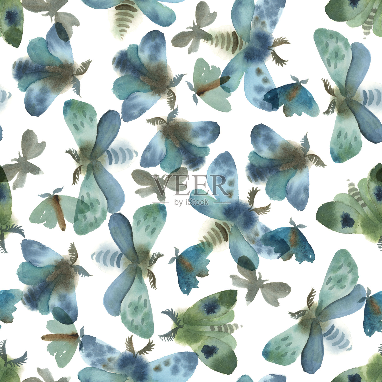 水彩插图。一组灰色，蓝色和绿色的蛾子插画图片素材