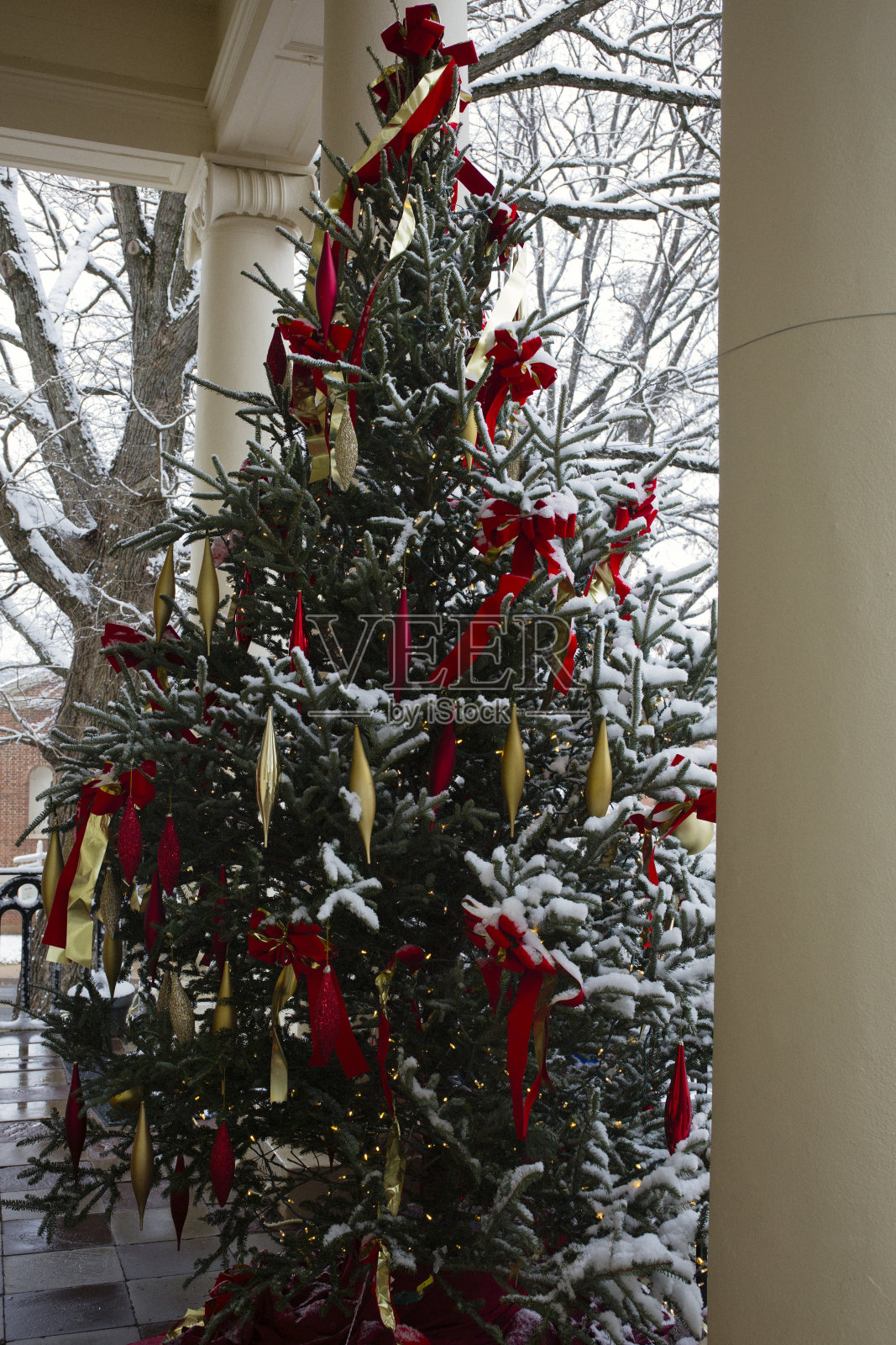 弗吉尼亚州沃伦顿法院的圣诞树。照片摄影图片