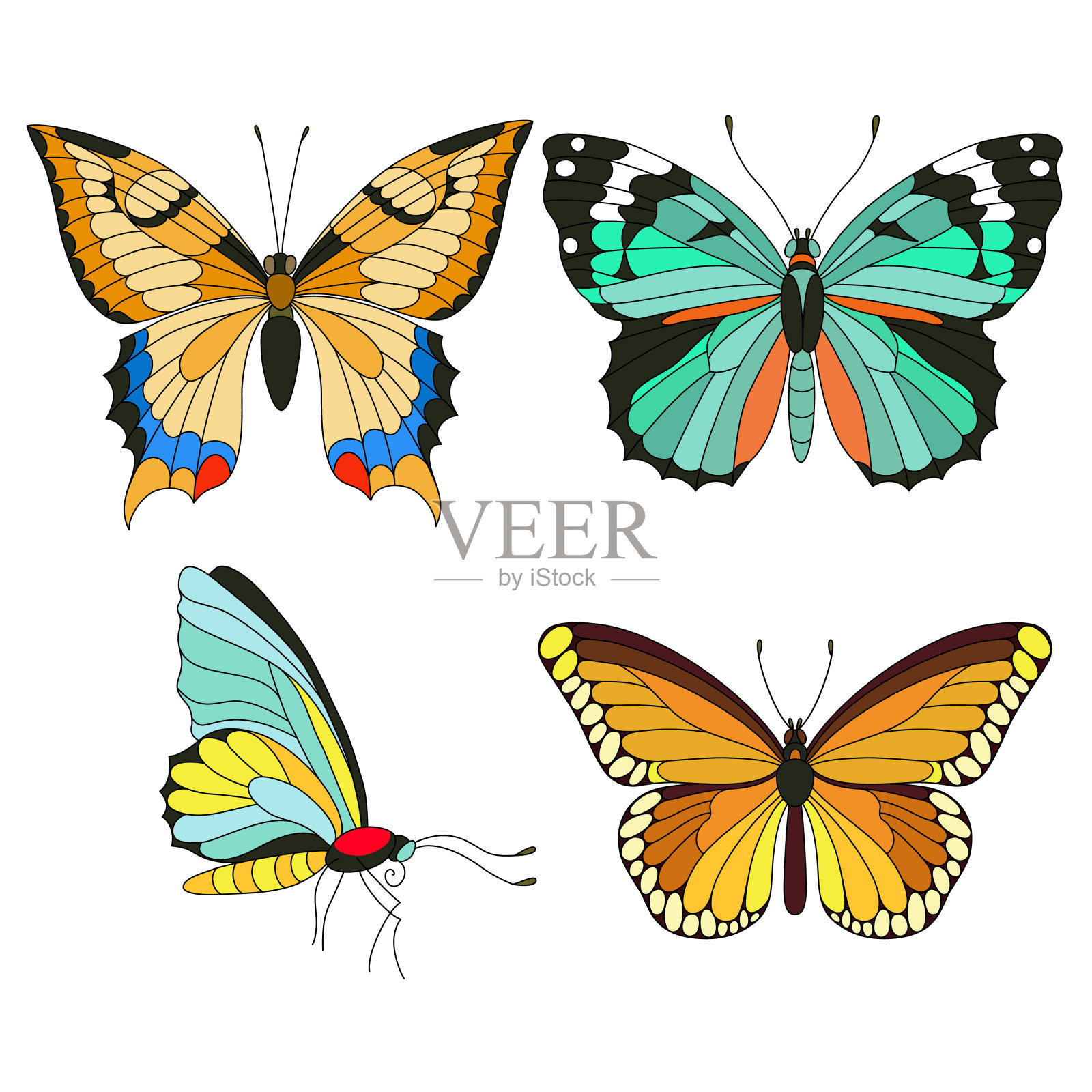 一组彩色的蝴蝶孤立在白色插画图片素材