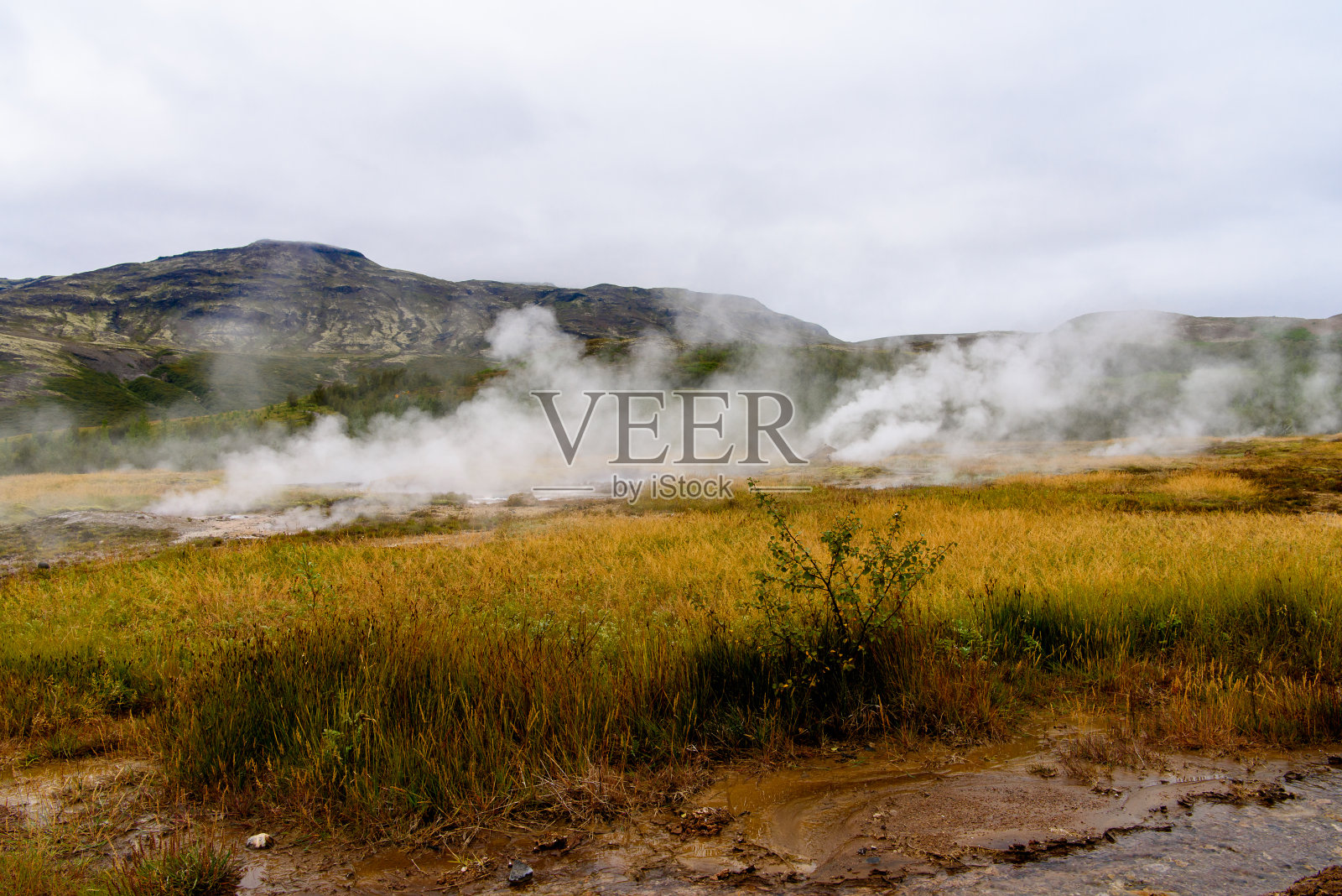 冰岛的间歇泉谷照片摄影图片