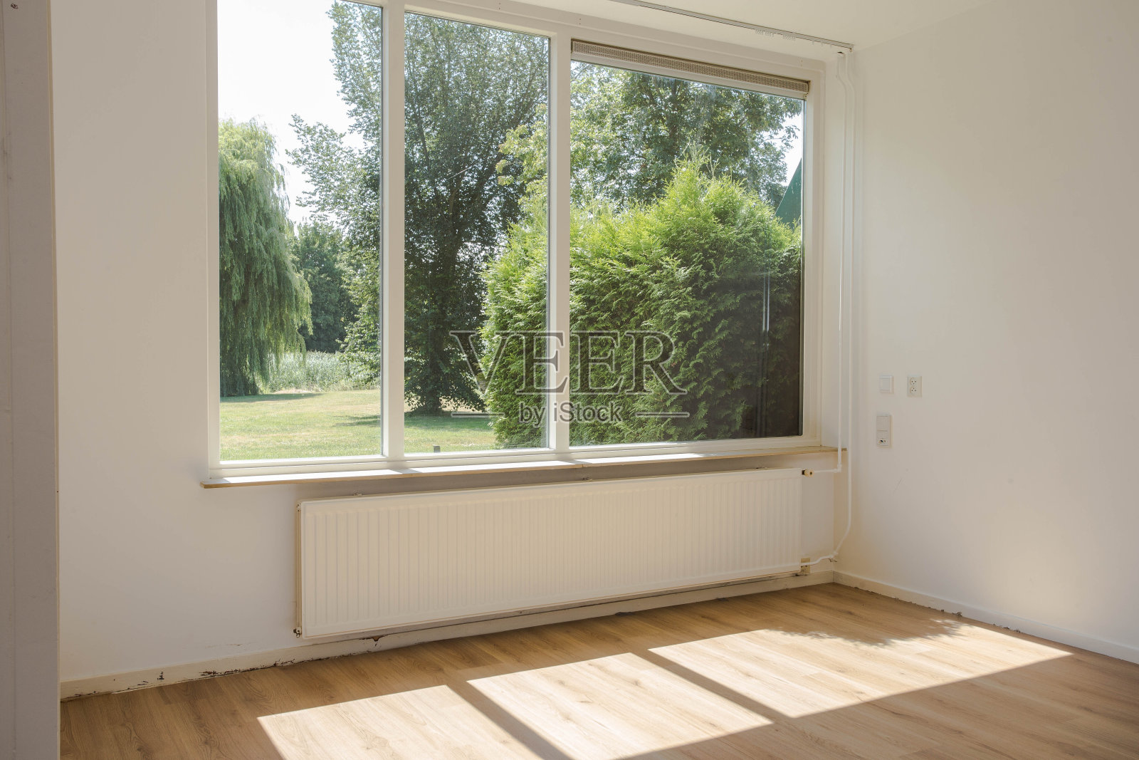 空白色的房间，硬木地板，大窗户和墙壁和阳光从窗口，与美丽的绿色森林自然景观照片摄影图片