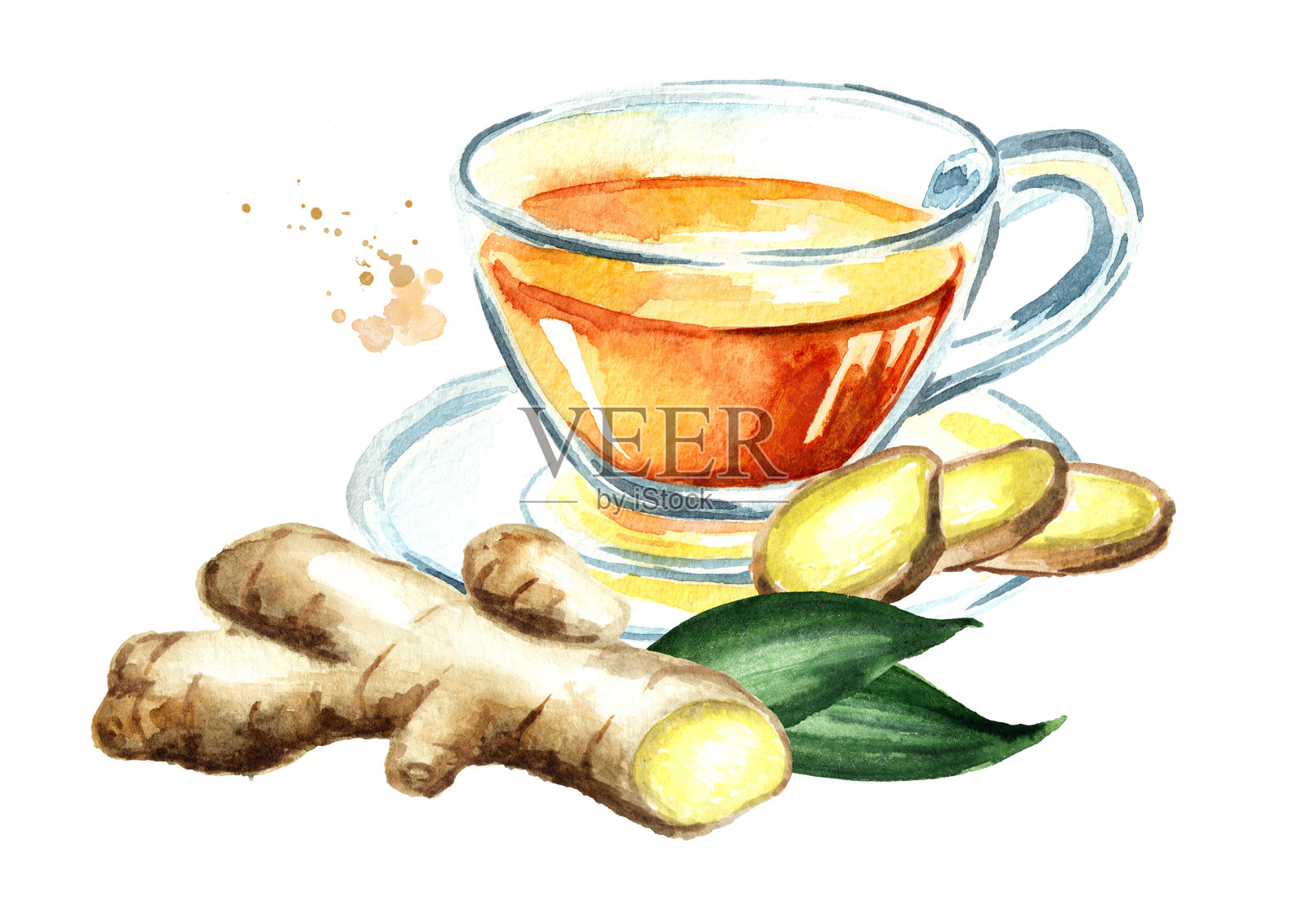姜茶，生姜根，概念健康饮品。水彩手绘插图，孤立的白色背景插画图片素材