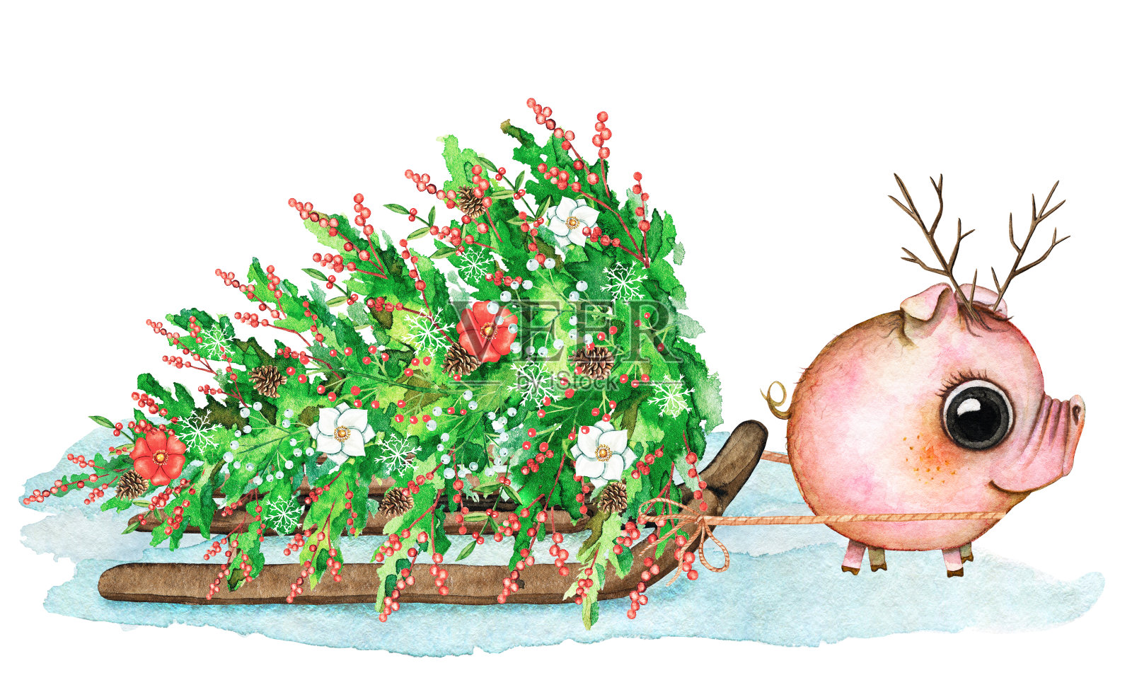 小猪，雪橇，雪和圣诞树的水彩画组成插画图片素材