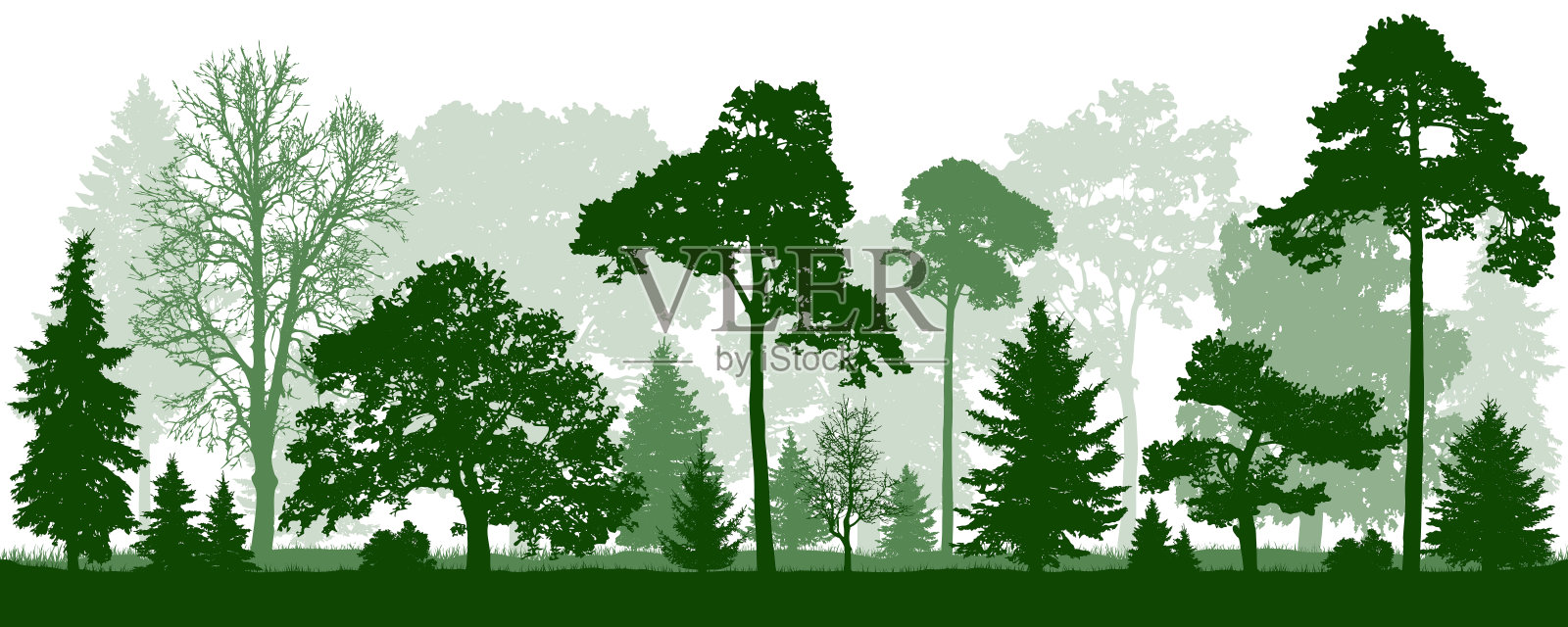 森林绿树的剪影。自然,公园、景观。隔离，无缝，矢量背景插画图片素材