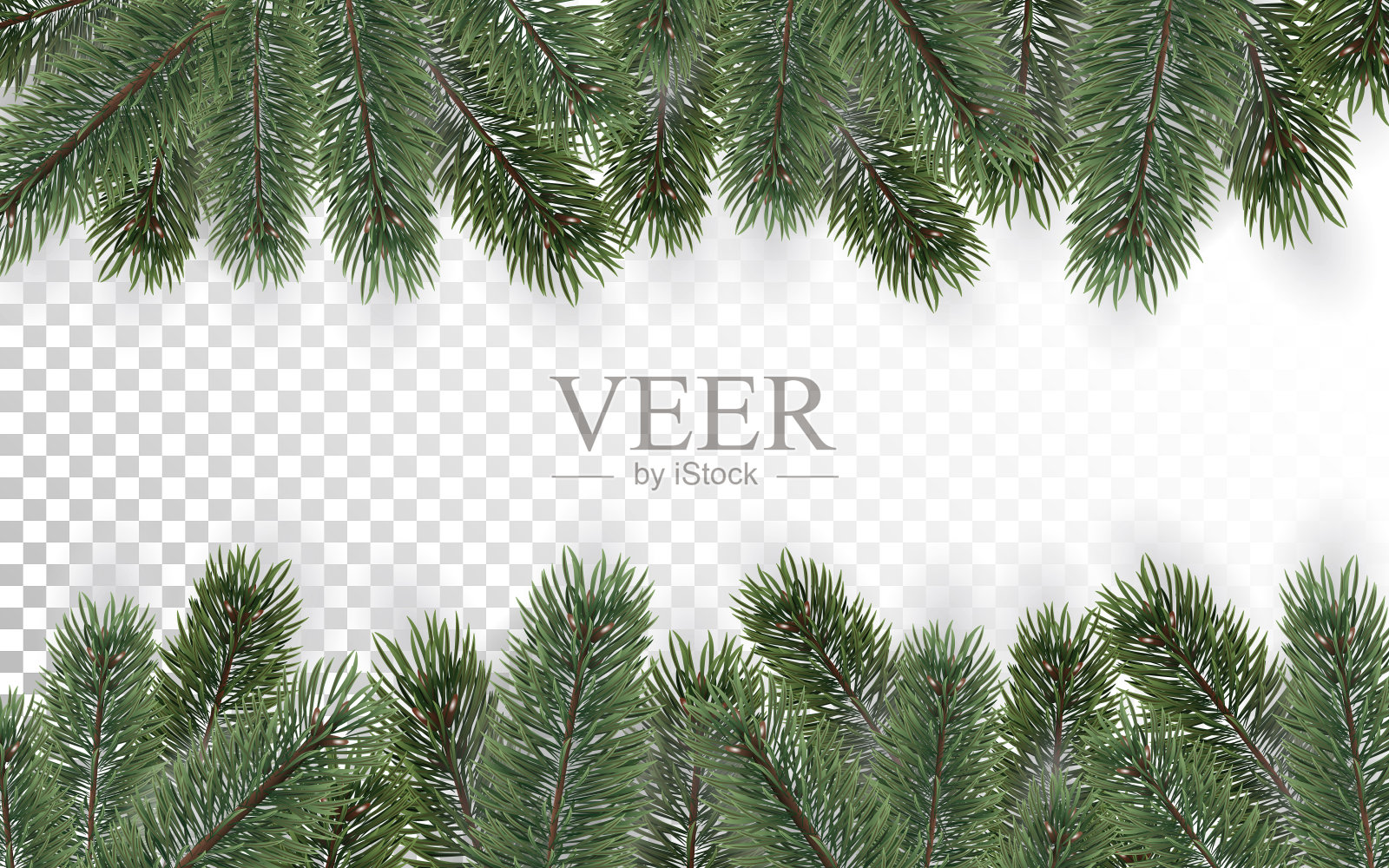 圣诞树的树枝背景上透明的背景。插画图片素材