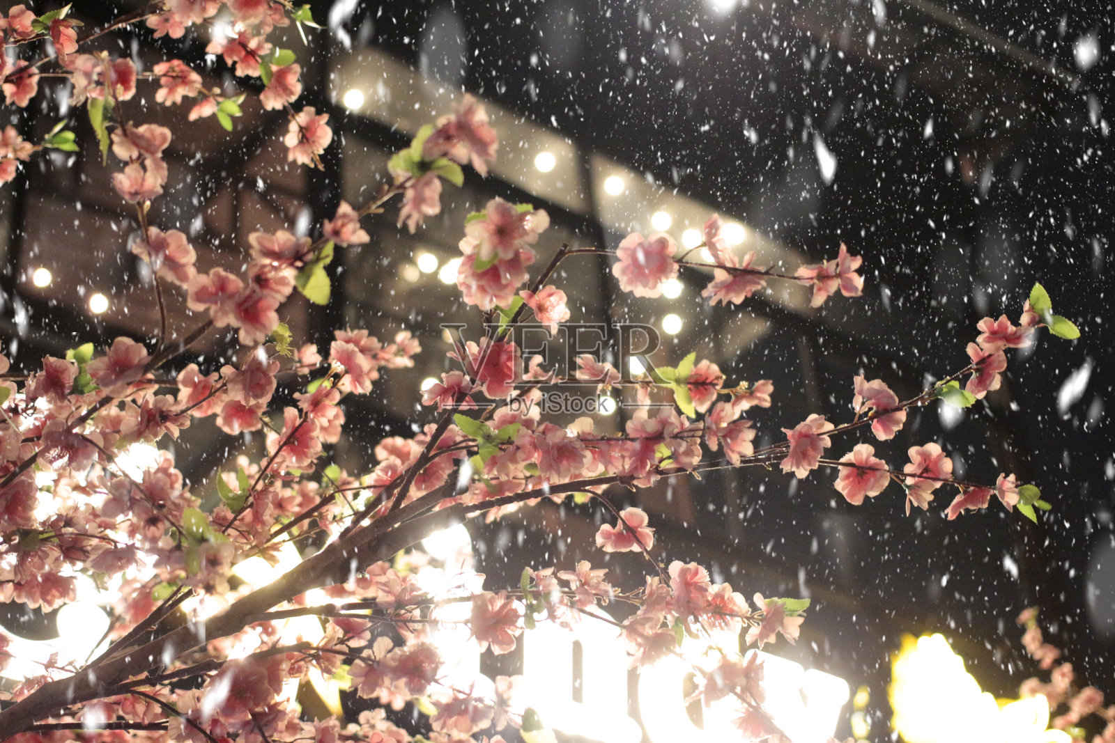樱花在雪下的屋檐下照片摄影图片