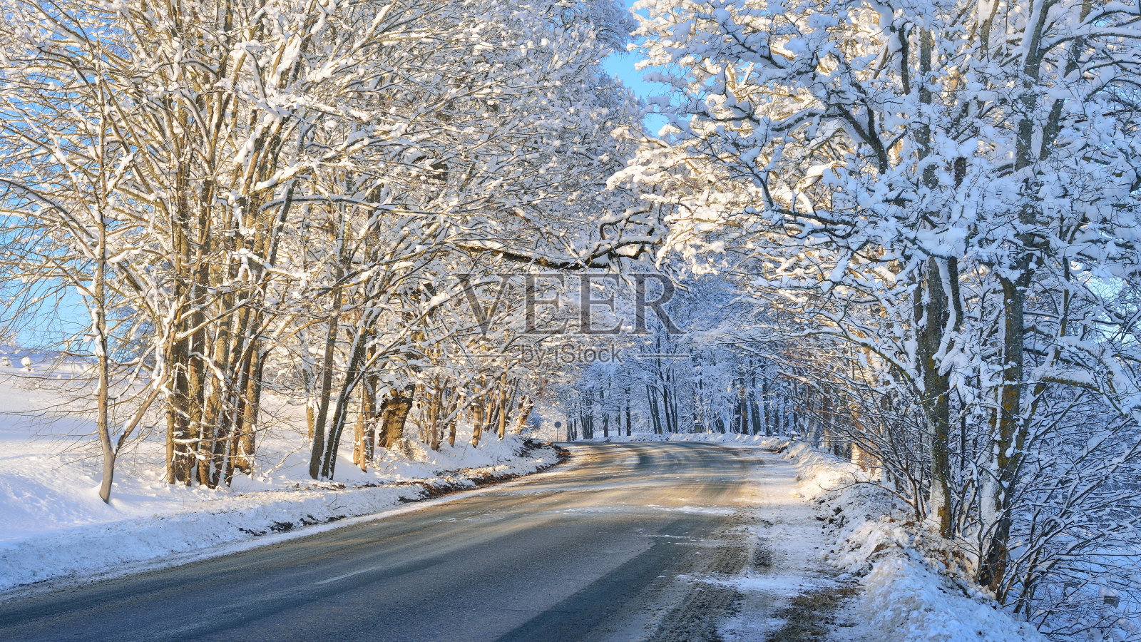 在一个阳光明媚的日子里，冬日的高速公路上有积雪的树木在日落照片摄影图片